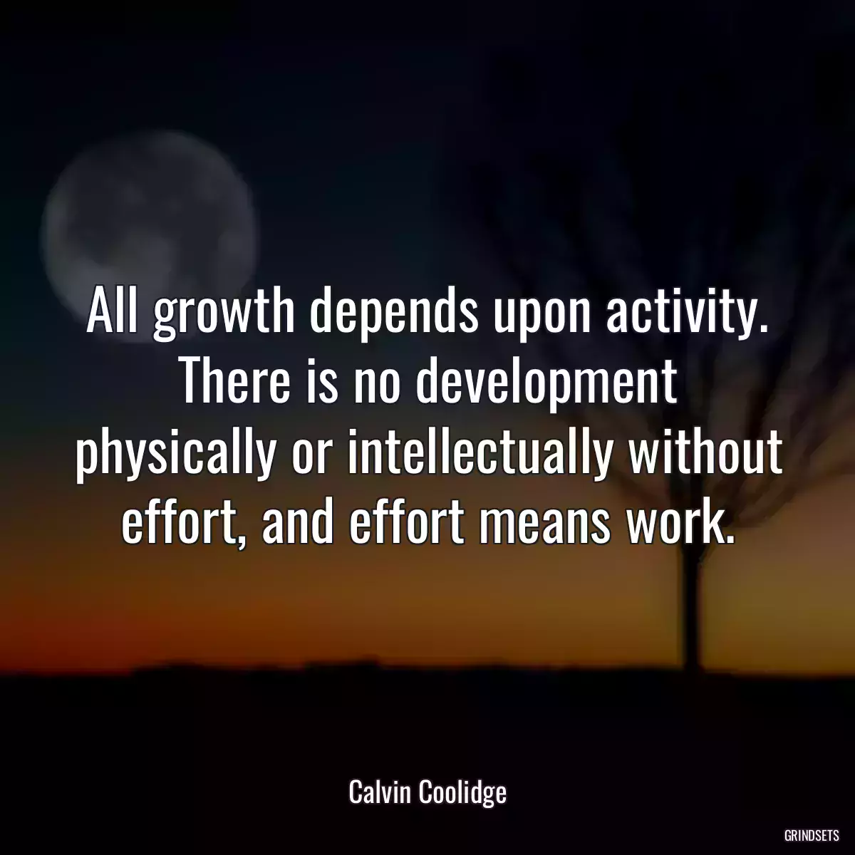 All growth depends upon activity. There is no development physically or intellectually without effort, and effort means work.