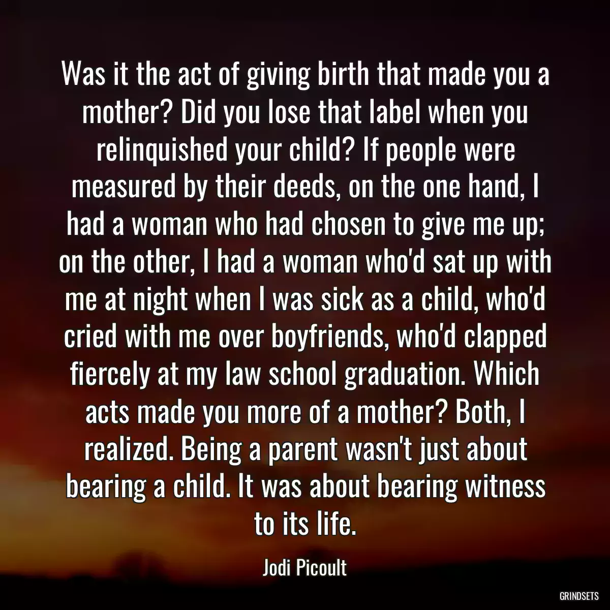 Was it the act of giving birth that made you a mother? Did you lose that label when you relinquished your child? If people were measured by their deeds, on the one hand, I had a woman who had chosen to give me up; on the other, I had a woman who\'d sat up with me at night when I was sick as a child, who\'d cried with me over boyfriends, who\'d clapped fiercely at my law school graduation. Which acts made you more of a mother? Both, I realized. Being a parent wasn\'t just about bearing a child. It was about bearing witness to its life.