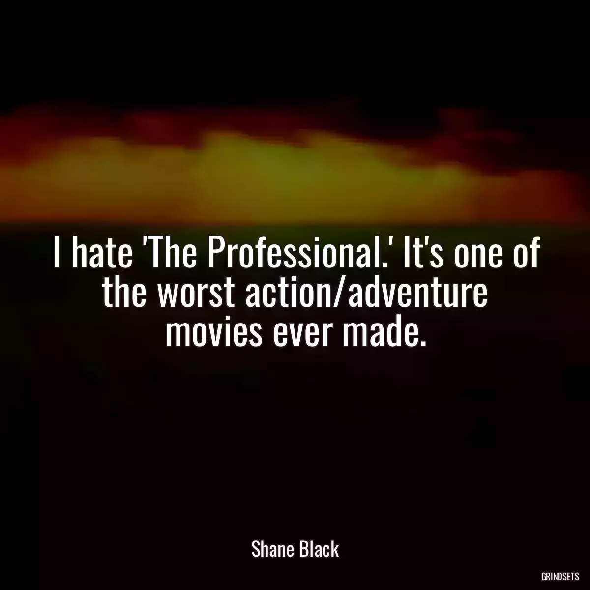 I hate \'The Professional.\' It\'s one of the worst action/adventure movies ever made.