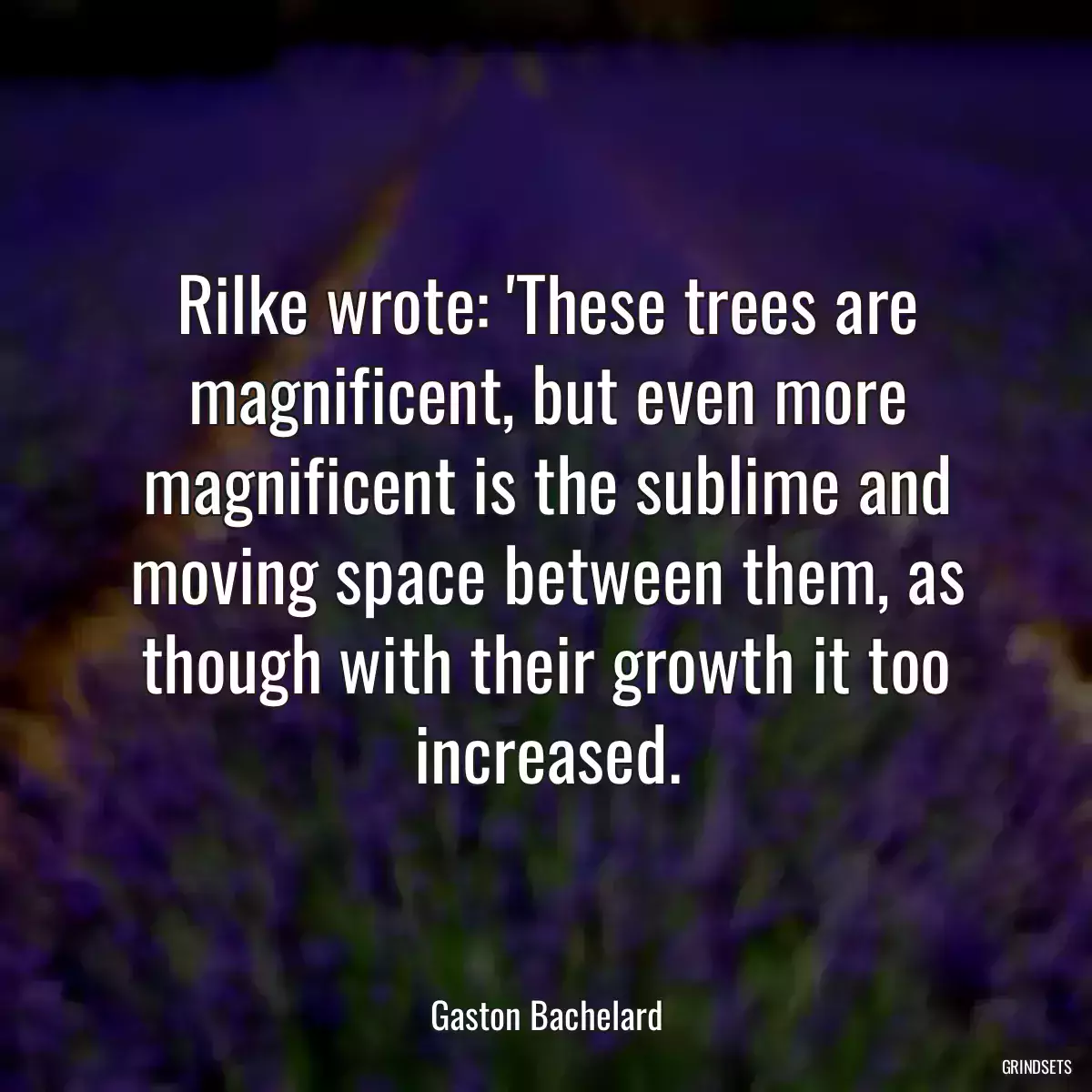 Rilke wrote: \'These trees are magnificent, but even more magnificent is the sublime and moving space between them, as though with their growth it too increased.