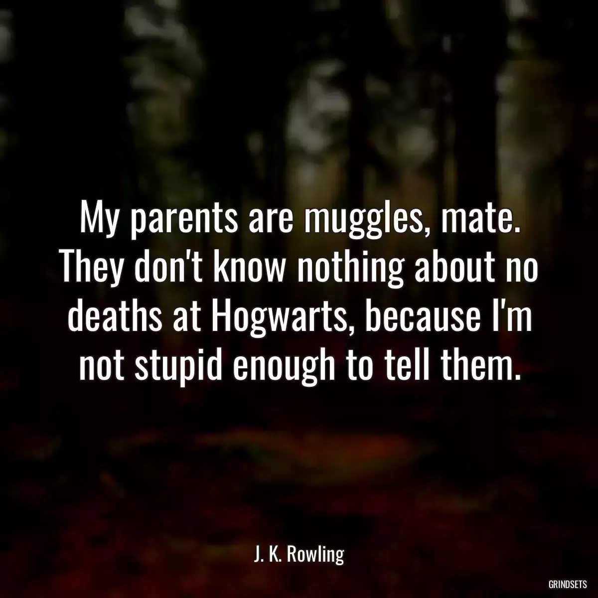 My parents are muggles, mate. They don\'t know nothing about no deaths at Hogwarts, because I\'m not stupid enough to tell them.