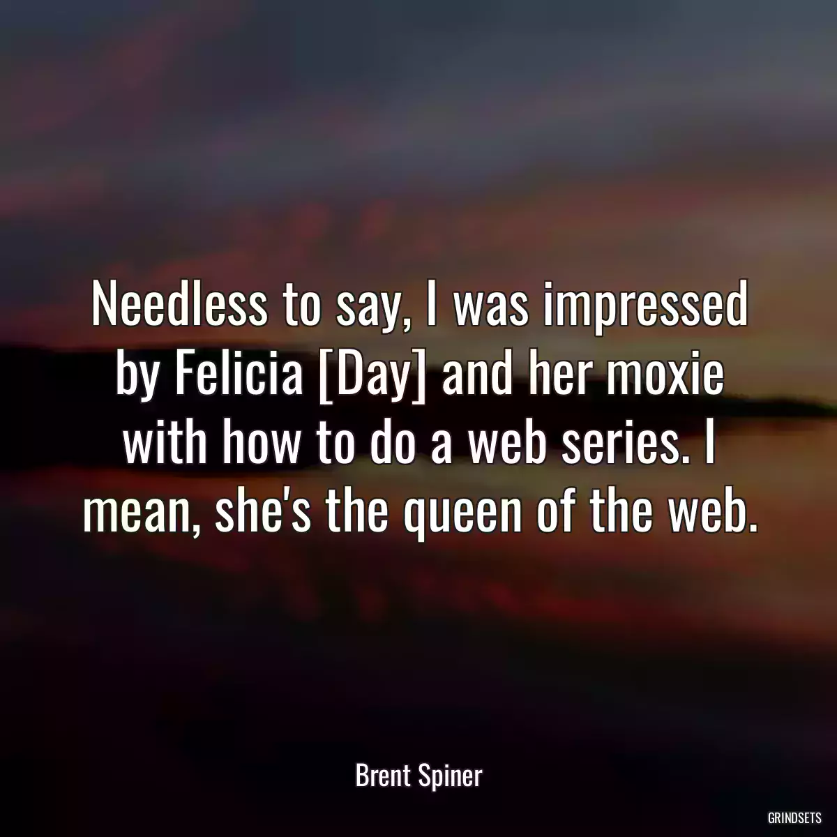 Needless to say, I was impressed by Felicia [Day] and her moxie with how to do a web series. I mean, she\'s the queen of the web.