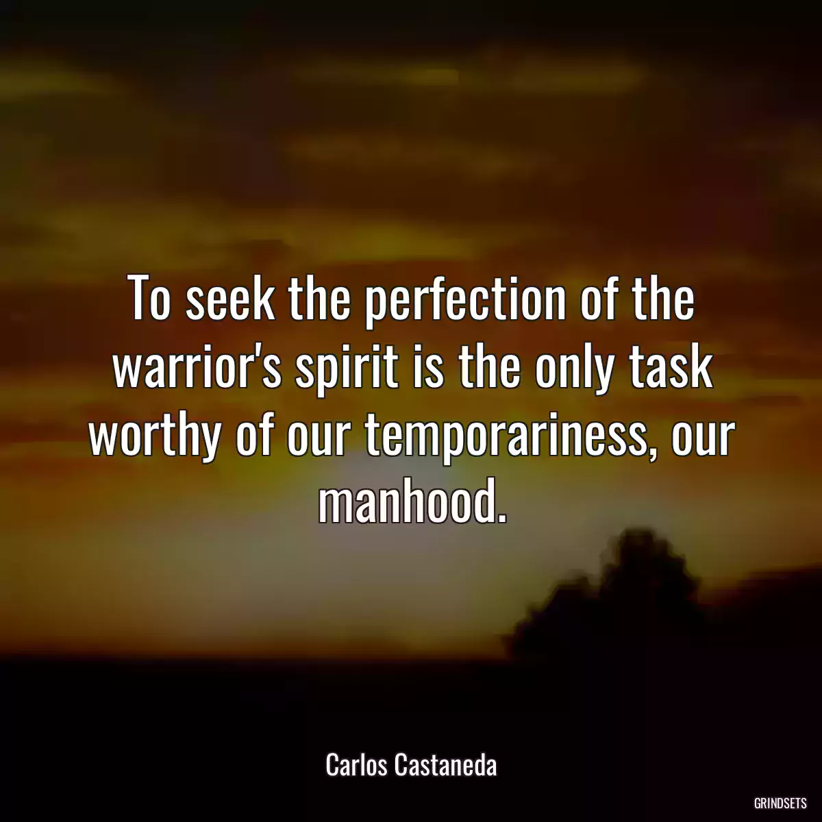 To seek the perfection of the warrior\'s spirit is the only task worthy of our temporariness, our manhood.