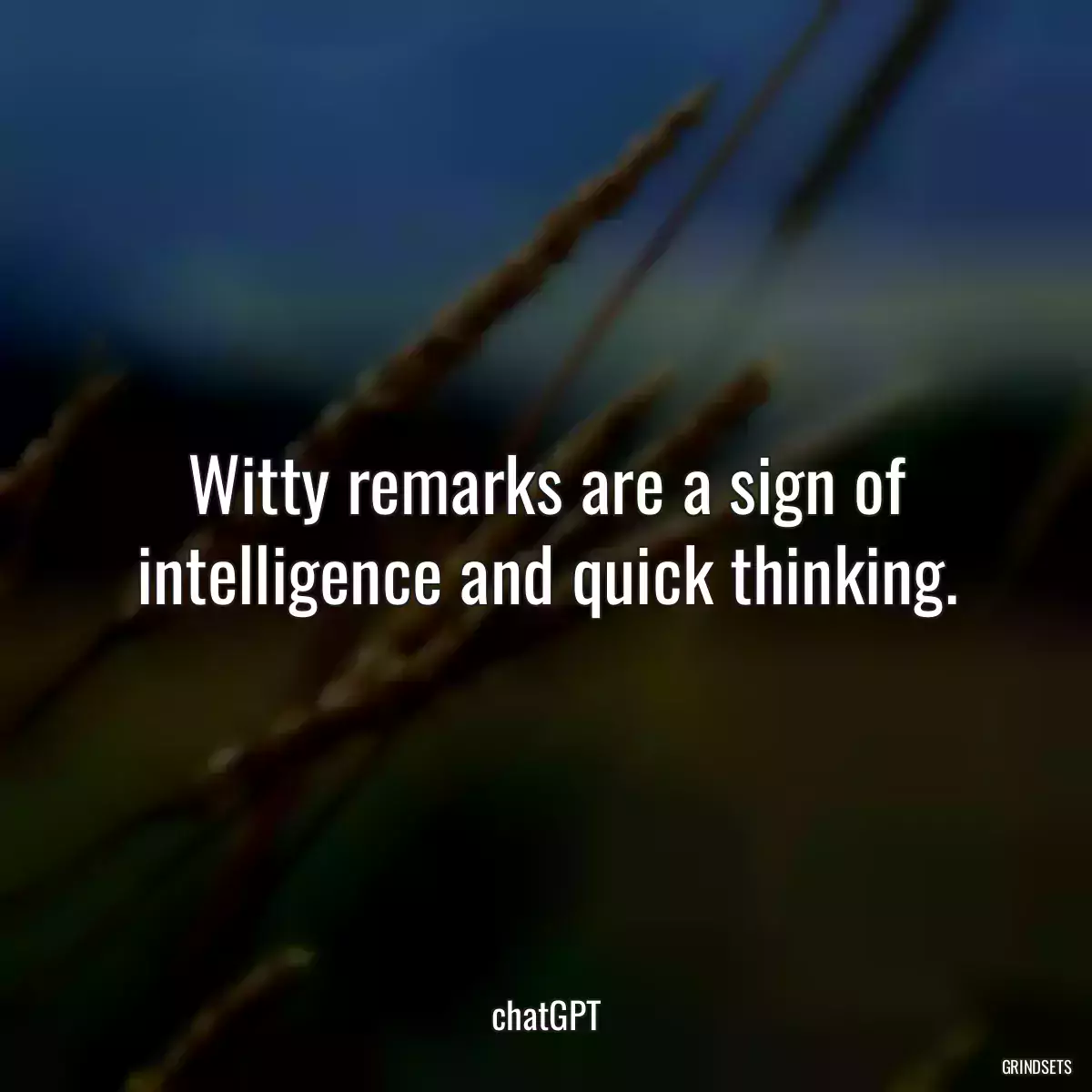 Witty remarks are a sign of intelligence and quick thinking.