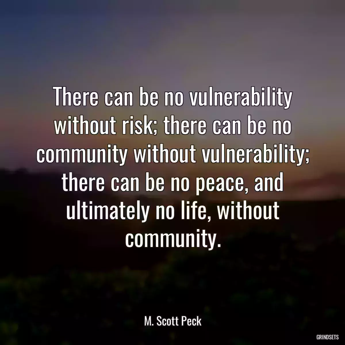 There can be no vulnerability without risk; there can be no community without vulnerability; there can be no peace, and ultimately no life, without community.