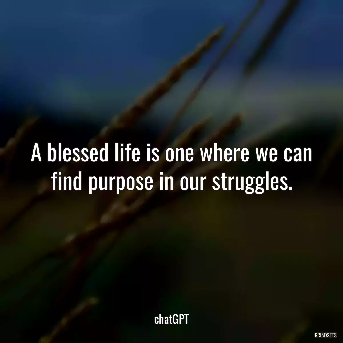 A blessed life is one where we can find purpose in our struggles.