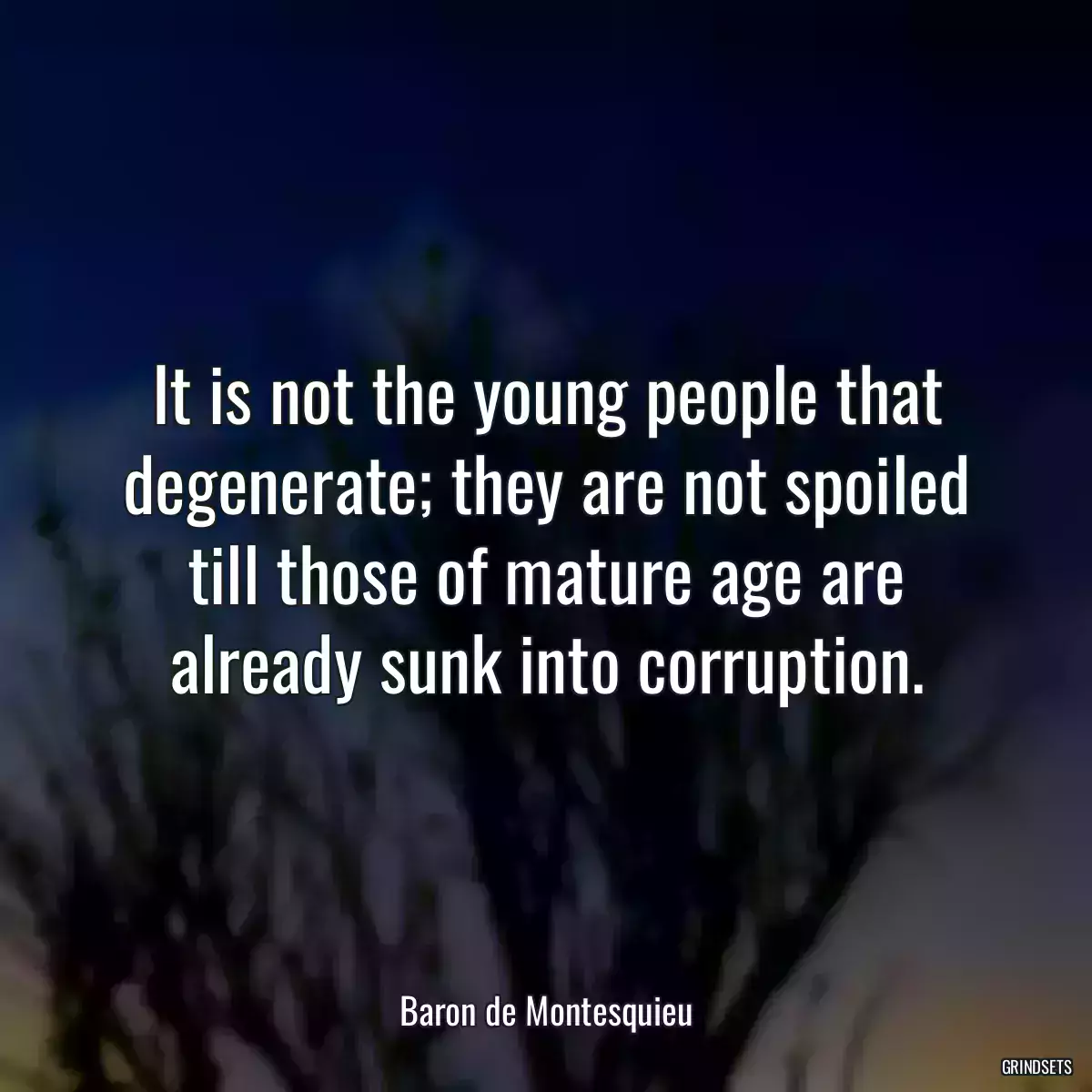 It is not the young people that degenerate; they are not spoiled till those of mature age are already sunk into corruption.