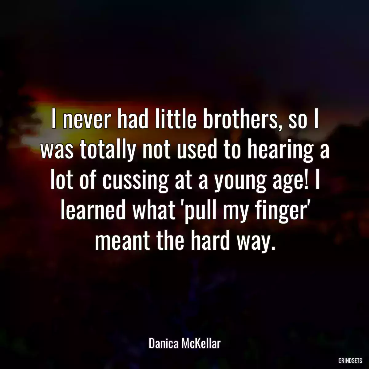 I never had little brothers, so I was totally not used to hearing a lot of cussing at a young age! I learned what \'pull my finger\' meant the hard way.