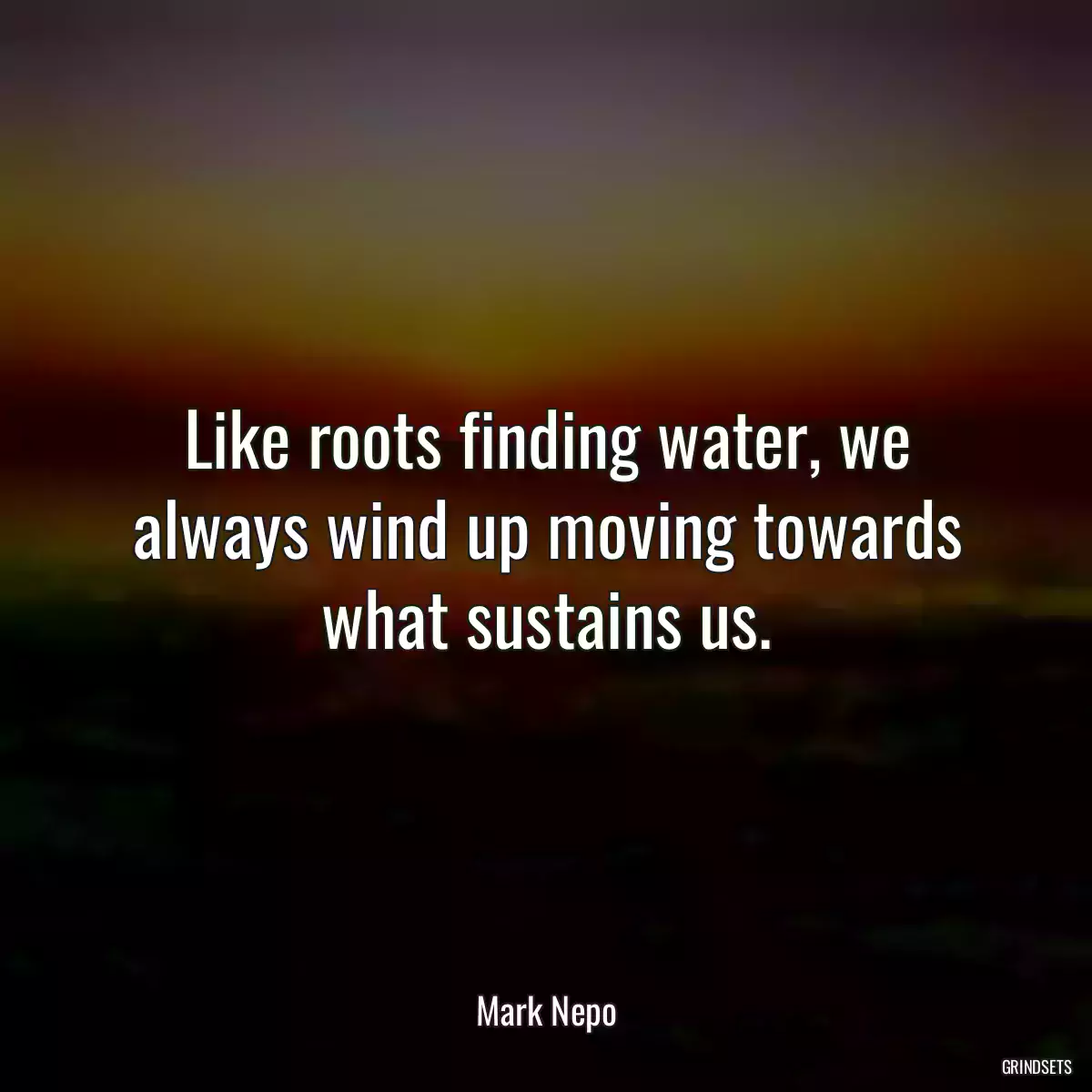 Like roots finding water, we always wind up moving towards what sustains us.