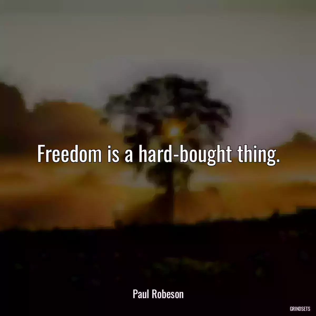 Freedom is a hard-bought thing.