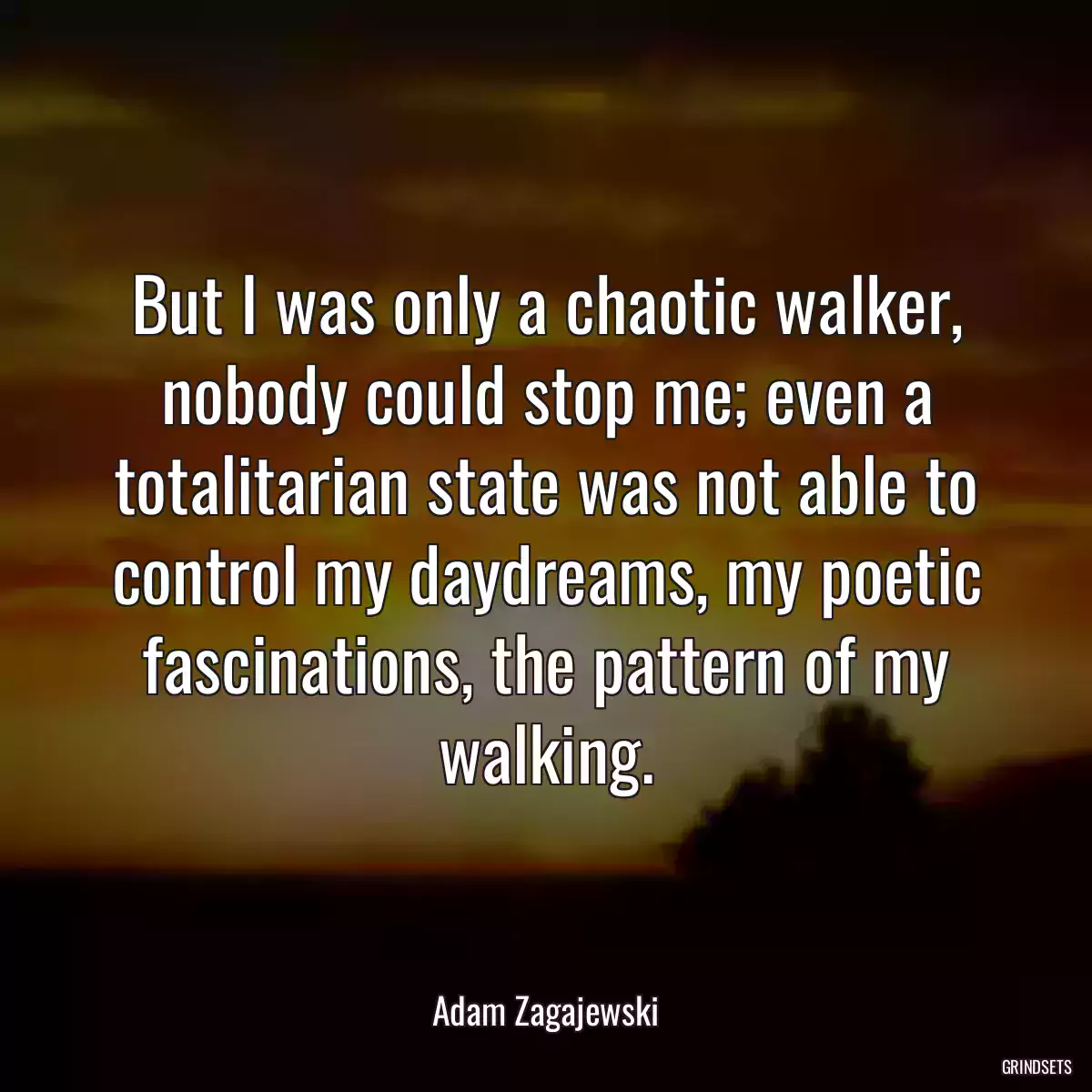 But I was only a chaotic walker, nobody could stop me; even a totalitarian state was not able to control my daydreams, my poetic fascinations, the pattern of my walking.