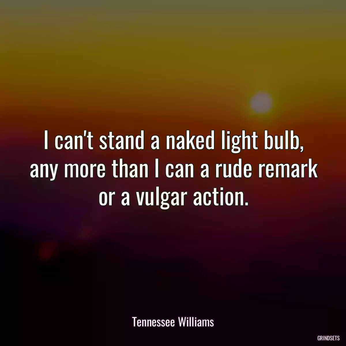 I can\'t stand a naked light bulb, any more than I can a rude remark or a vulgar action.