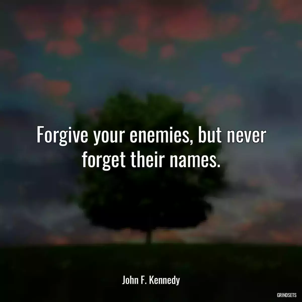 Forgive your enemies, but never forget their names.