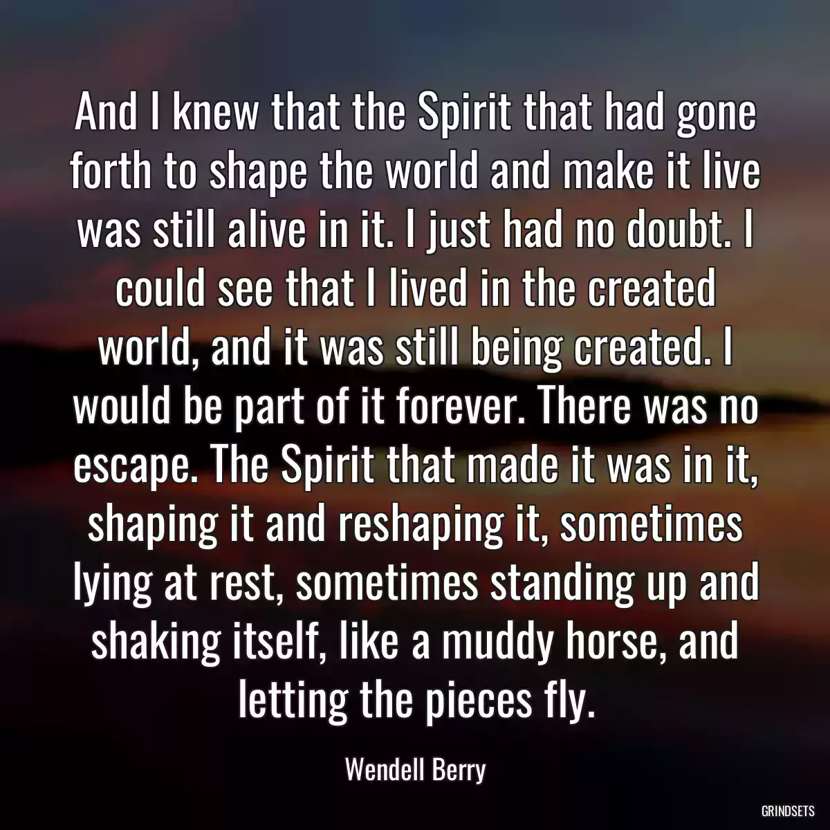 And I knew that the Spirit that had gone forth to shape the world and make it live was still alive in it. I just had no doubt. I could see that I lived in the created world, and it was still being created. I would be part of it forever. There was no escape. The Spirit that made it was in it, shaping it and reshaping it, sometimes lying at rest, sometimes standing up and shaking itself, like a muddy horse, and letting the pieces fly.