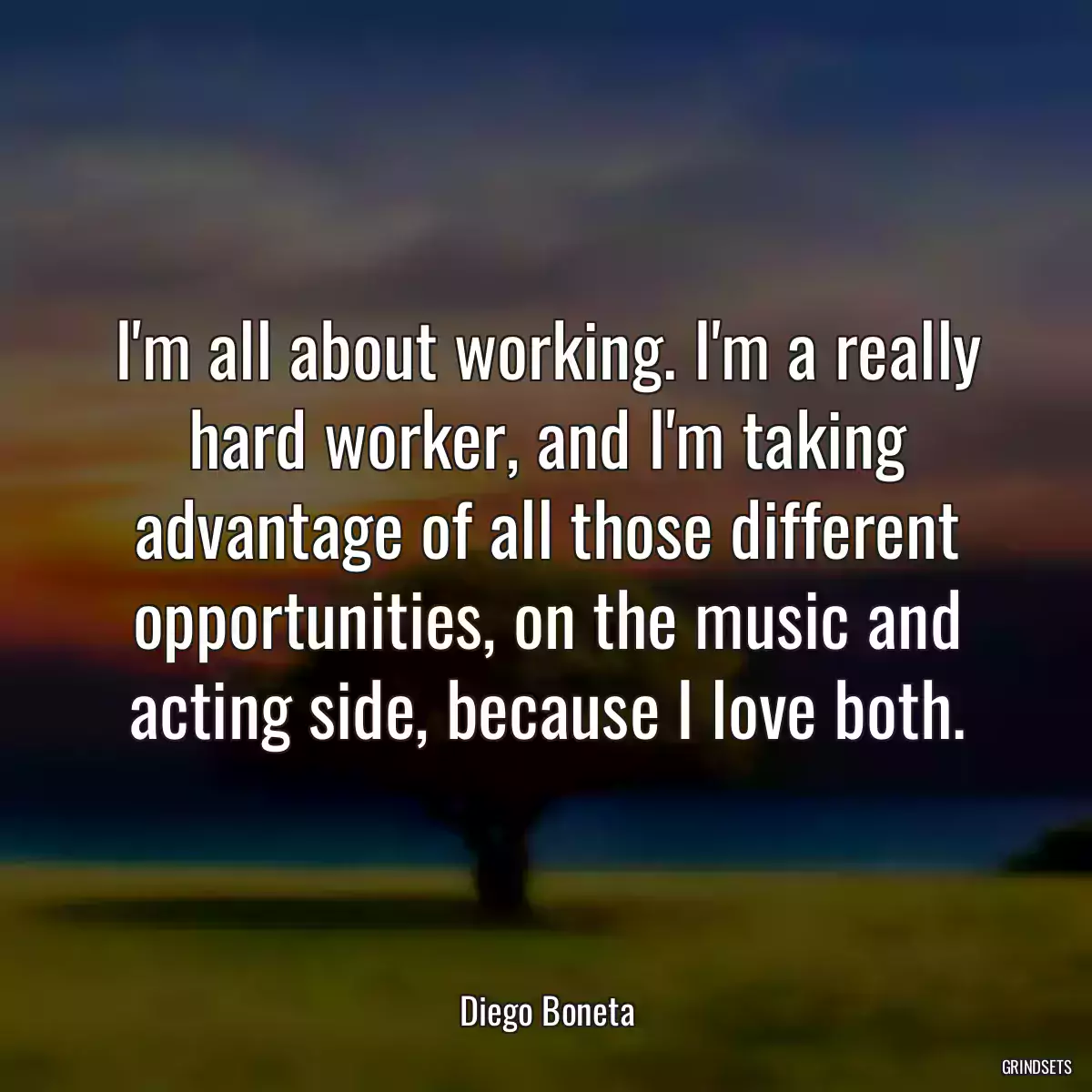 I\'m all about working. I\'m a really hard worker, and I\'m taking advantage of all those different opportunities, on the music and acting side, because I love both.