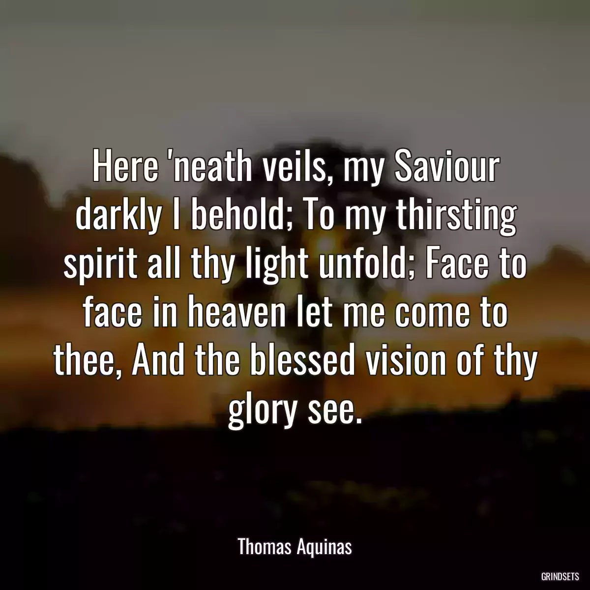 Here \'neath veils, my Saviour darkly I behold; To my thirsting spirit all thy light unfold; Face to face in heaven let me come to thee, And the blessed vision of thy glory see.