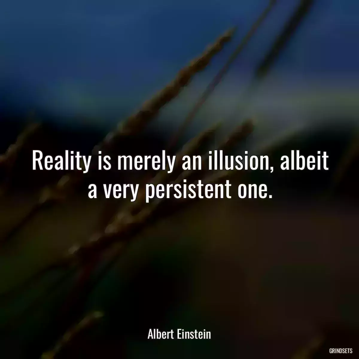 Reality is merely an illusion, albeit a very persistent one.