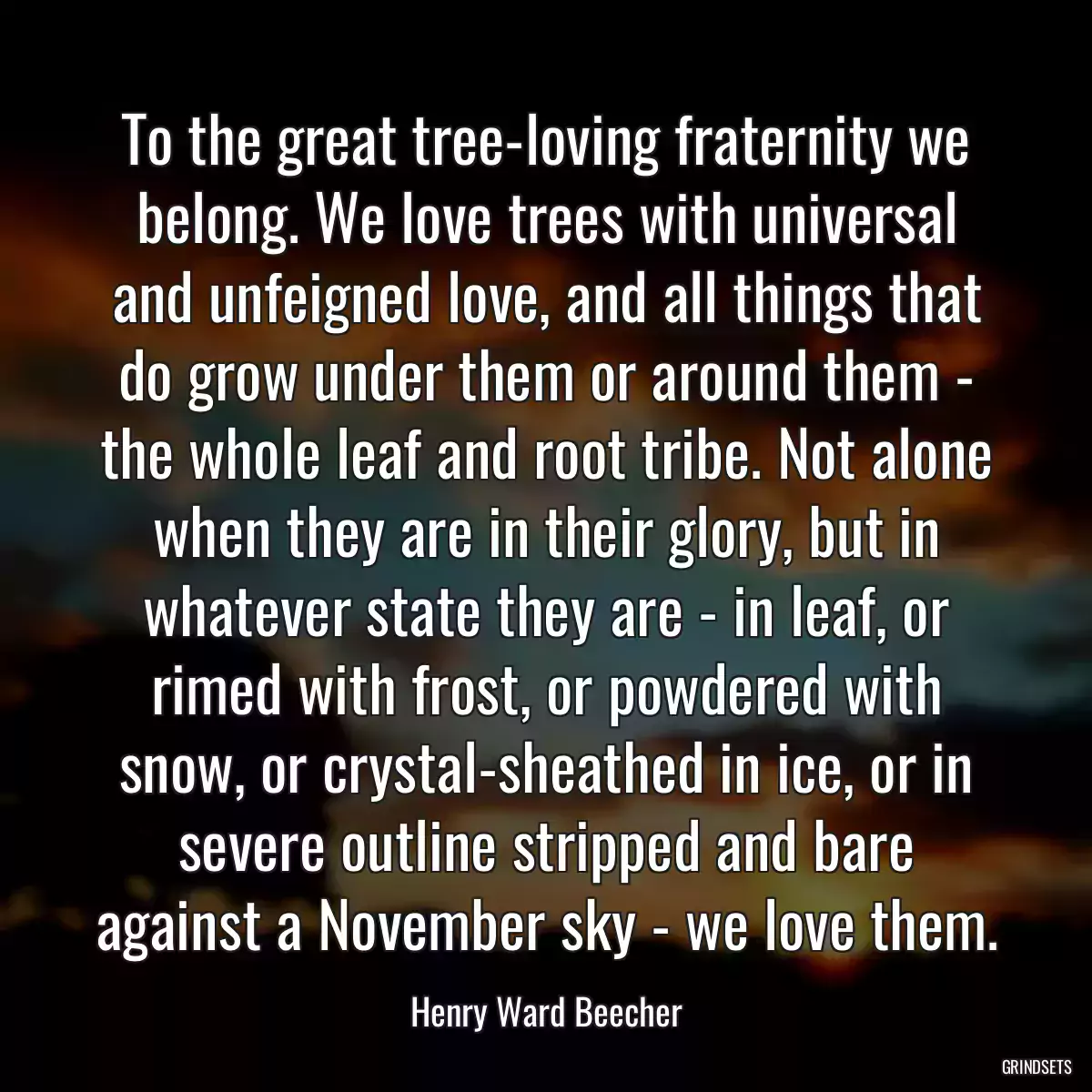 To the great tree-loving fraternity we belong. We love trees with universal and unfeigned love, and all things that do grow under them or around them - the whole leaf and root tribe. Not alone when they are in their glory, but in whatever state they are - in leaf, or rimed with frost, or powdered with snow, or crystal-sheathed in ice, or in severe outline stripped and bare against a November sky - we love them.