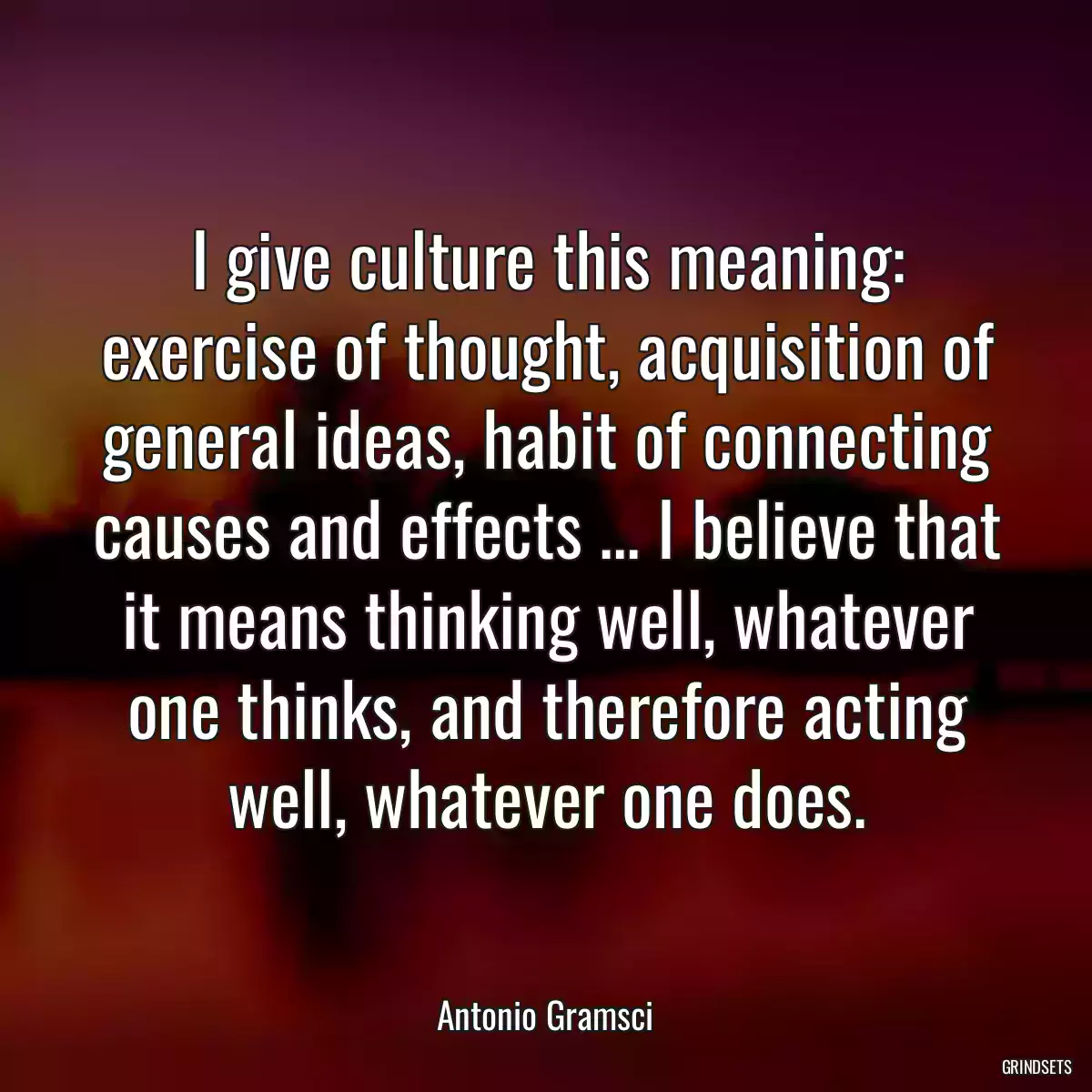 I give culture this meaning: exercise of thought, acquisition of general ideas, habit of connecting causes and effects ... I believe that it means thinking well, whatever one thinks, and therefore acting well, whatever one does.