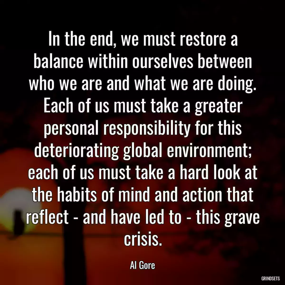 In the end, we must restore a balance within ourselves between who we are and what we are doing. Each of us must take a greater personal responsibility for this deteriorating global environment; each of us must take a hard look at the habits of mind and action that reflect - and have led to - this grave crisis.