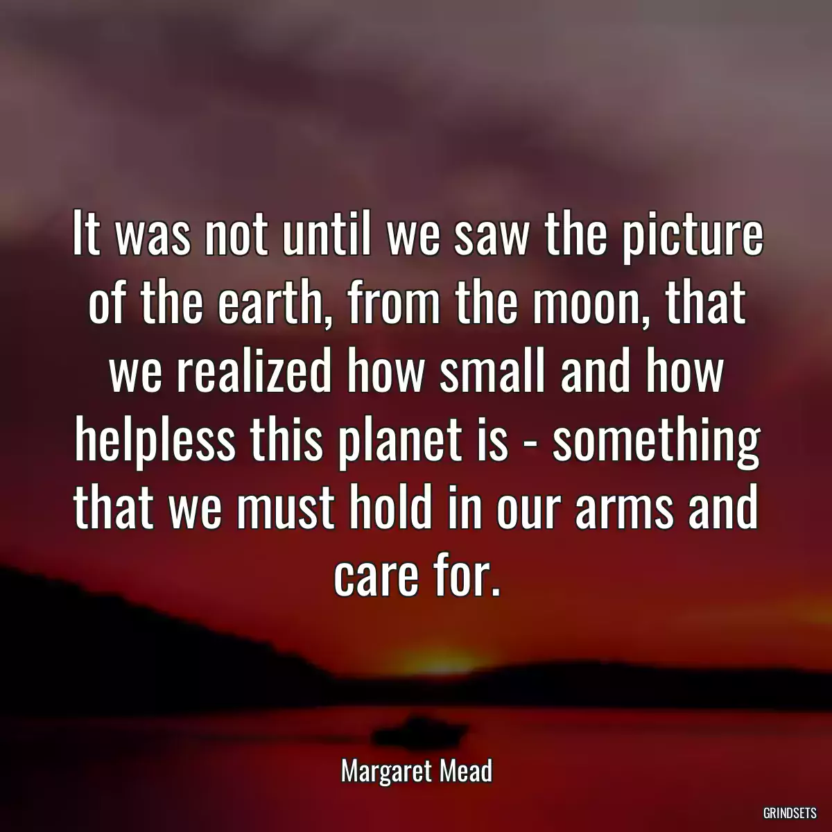 It was not until we saw the picture of the earth, from the moon, that we realized how small and how helpless this planet is - something that we must hold in our arms and care for.