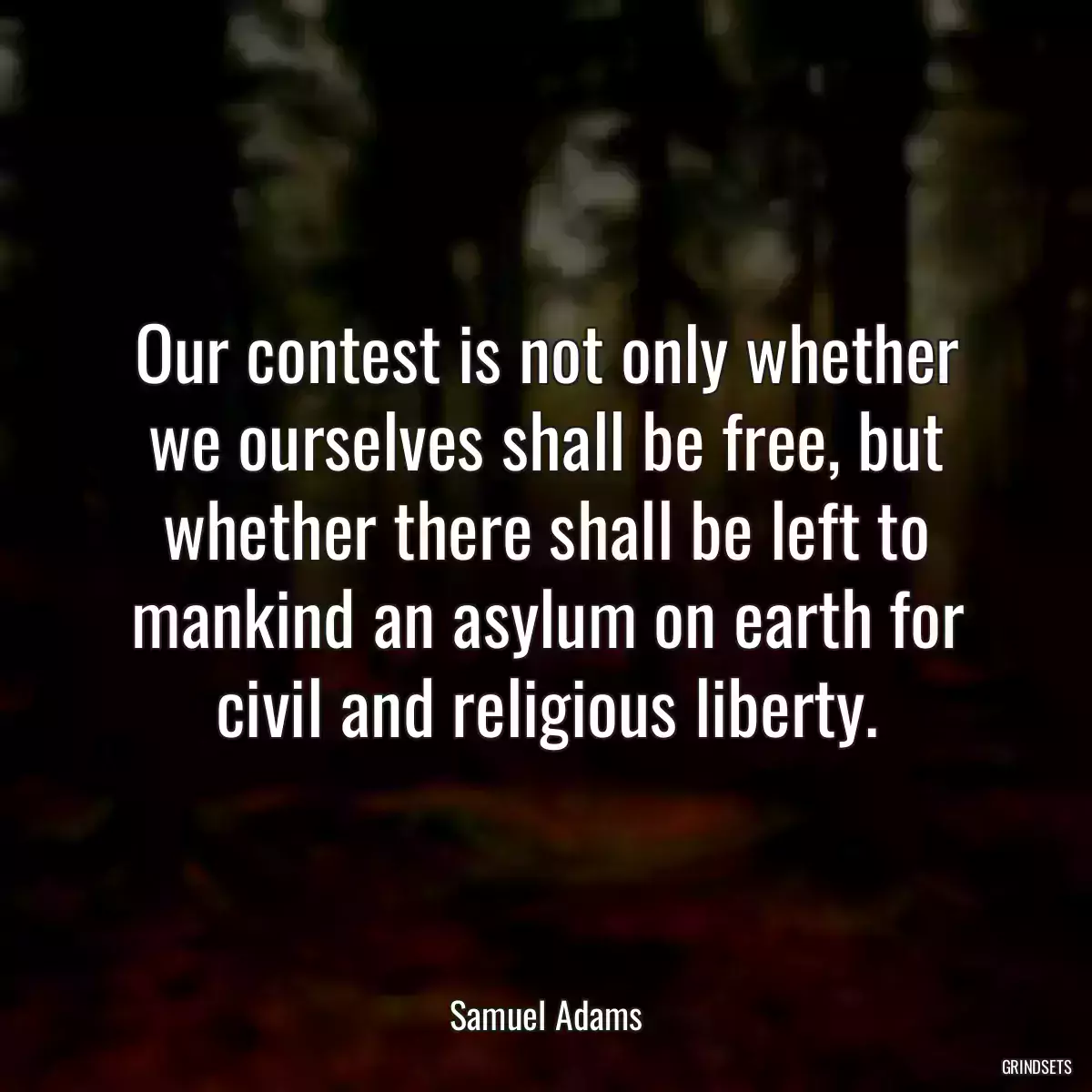 Our contest is not only whether we ourselves shall be free, but whether there shall be left to mankind an asylum on earth for civil and religious liberty.