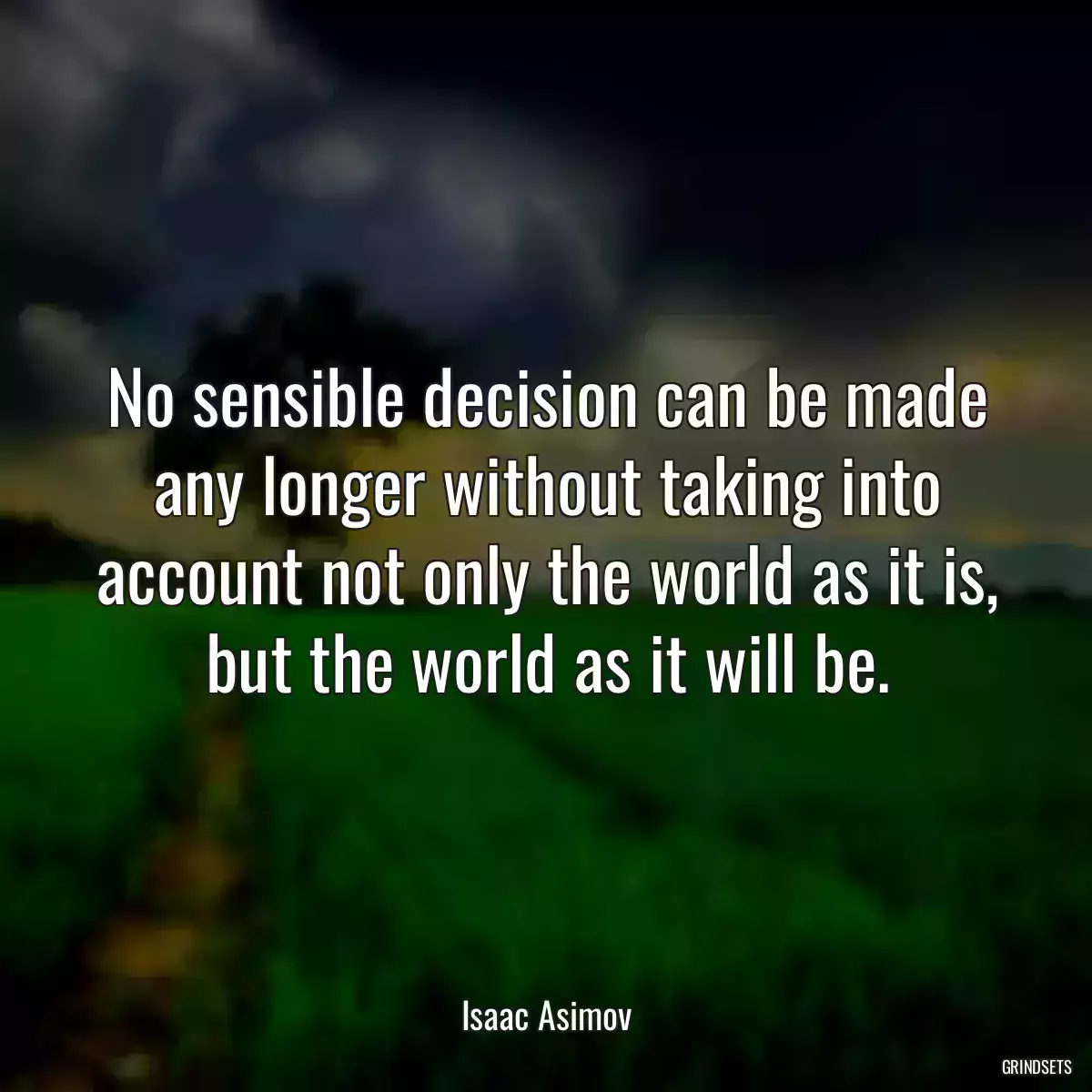 No sensible decision can be made any longer without taking into account not only the world as it is, but the world as it will be.