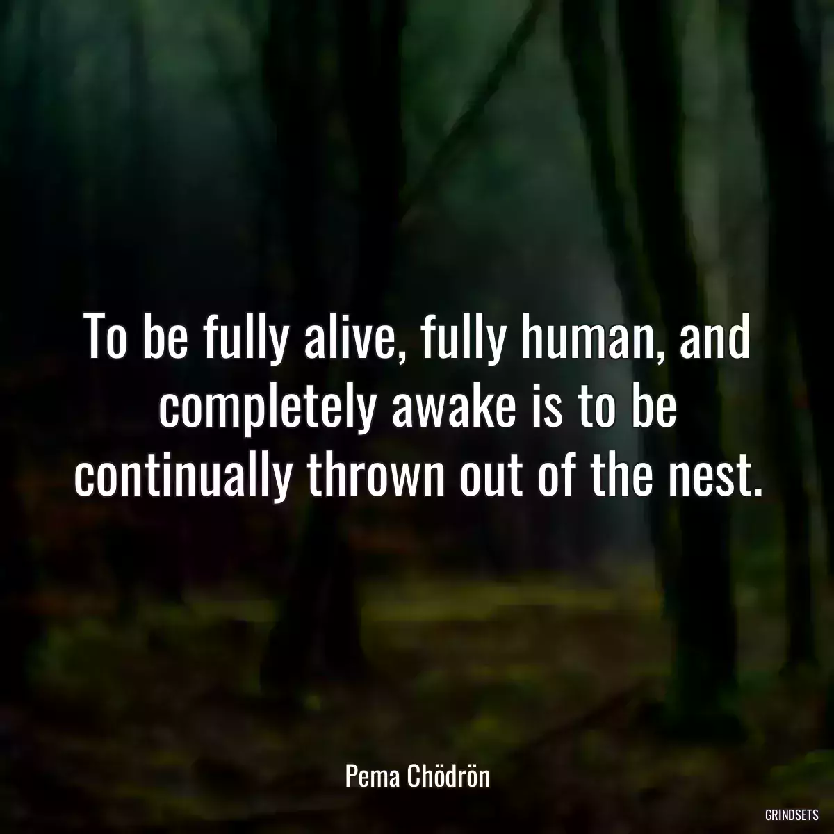 To be fully alive, fully human, and completely awake is to be continually thrown out of the nest.