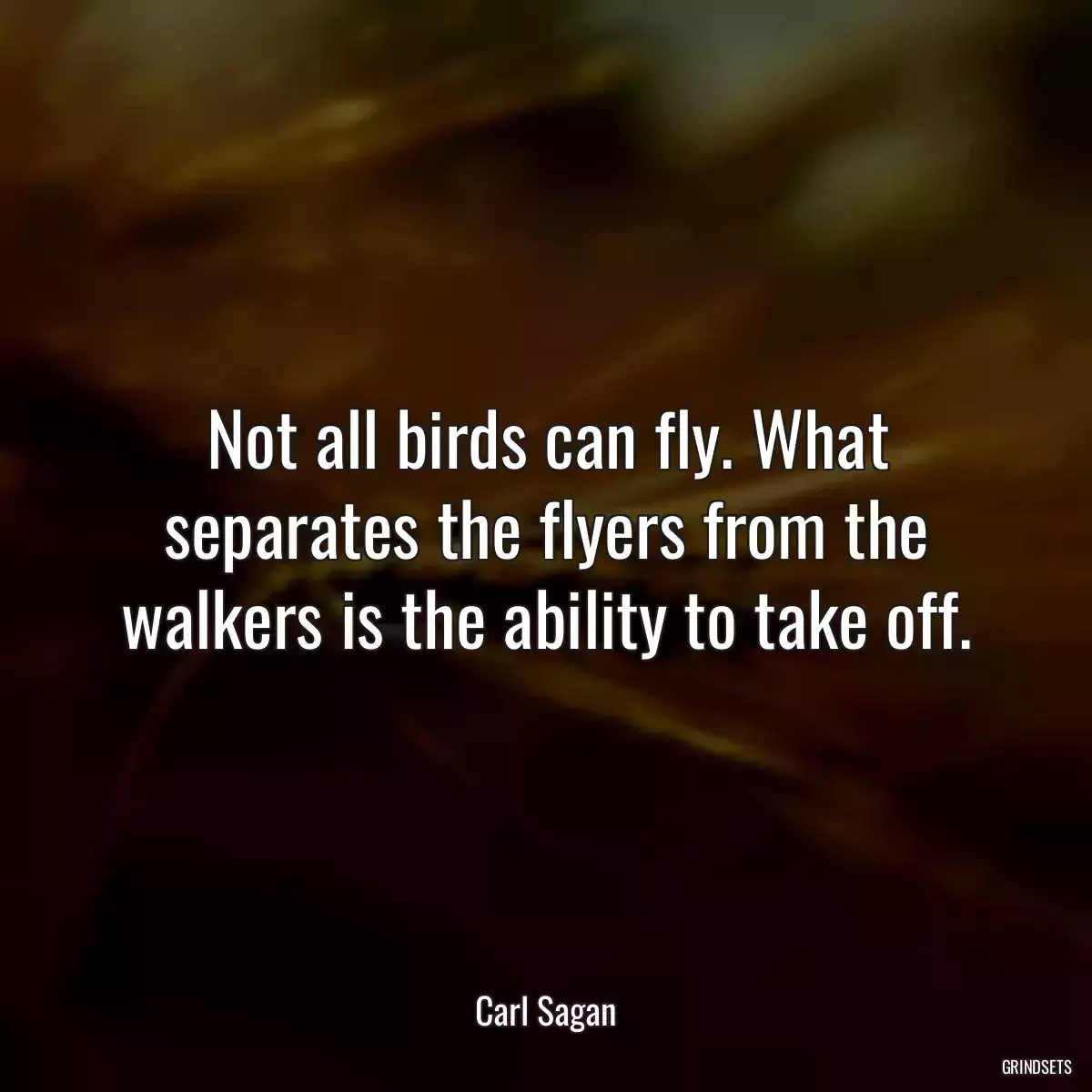 Not all birds can fly. What separates the flyers from the walkers is the ability to take off.