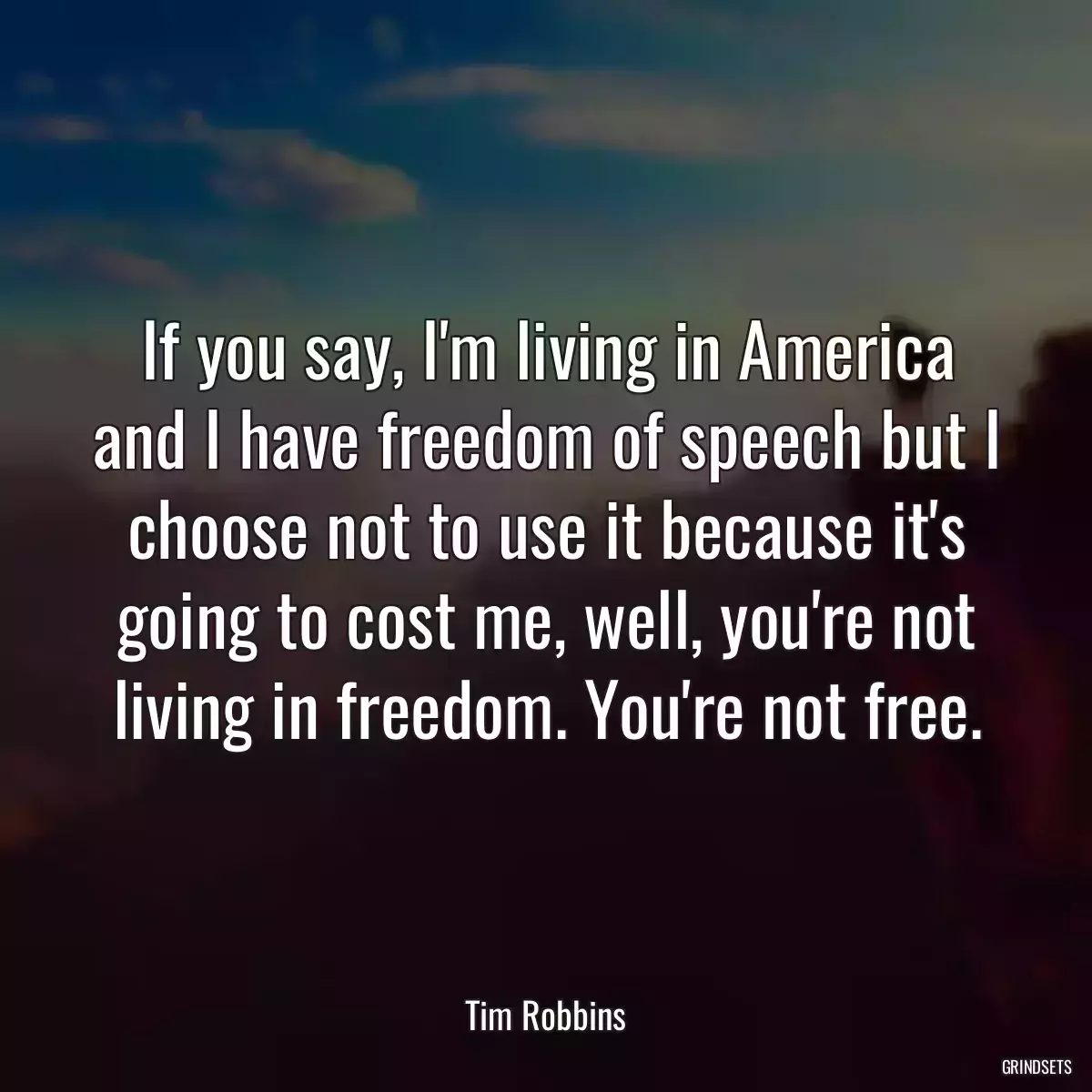 If you say, I\'m living in America and I have freedom of speech but I choose not to use it because it\'s going to cost me, well, you\'re not living in freedom. You\'re not free.