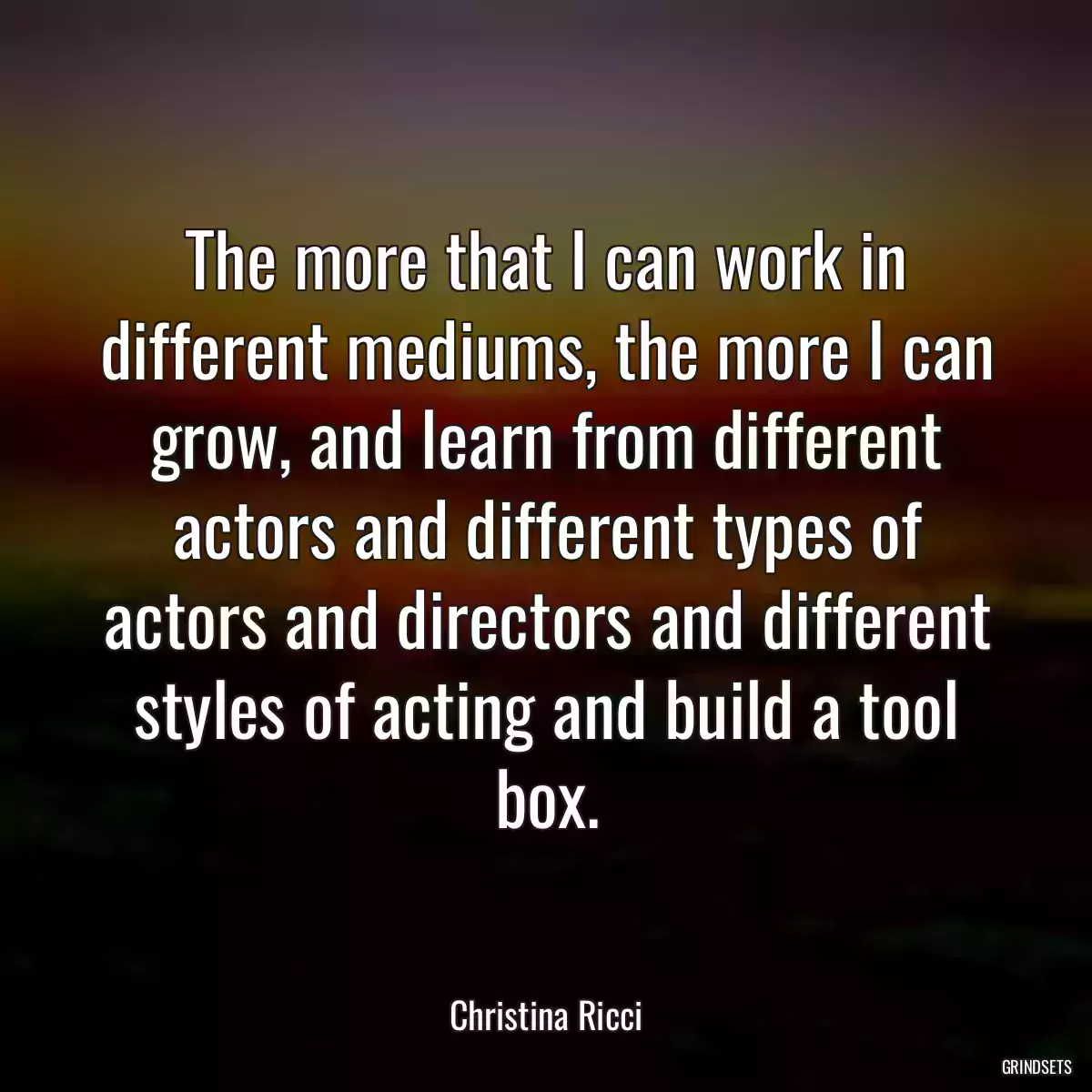 The more that I can work in different mediums, the more I can grow, and learn from different actors and different types of actors and directors and different styles of acting and build a tool box.