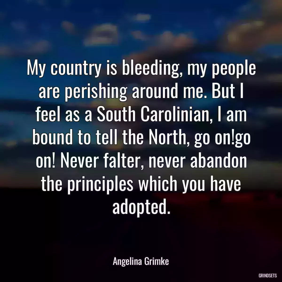 My country is bleeding, my people are perishing around me. But I feel as a South Carolinian, I am bound to tell the North, go on!go on! Never falter, never abandon the principles which you have adopted.