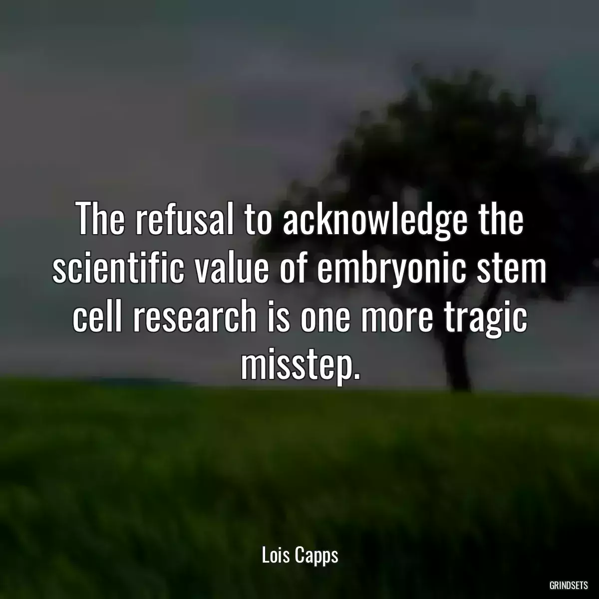 The refusal to acknowledge the scientific value of embryonic stem cell research is one more tragic misstep.