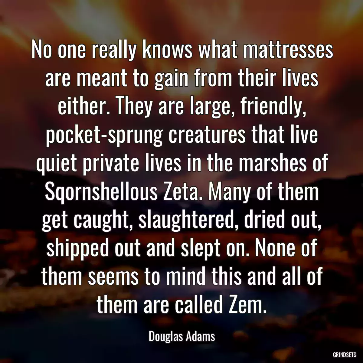 No one really knows what mattresses are meant to gain from their lives either. They are large, friendly, pocket-sprung creatures that live quiet private lives in the marshes of Sqornshellous Zeta. Many of them get caught, slaughtered, dried out, shipped out and slept on. None of them seems to mind this and all of them are called Zem.