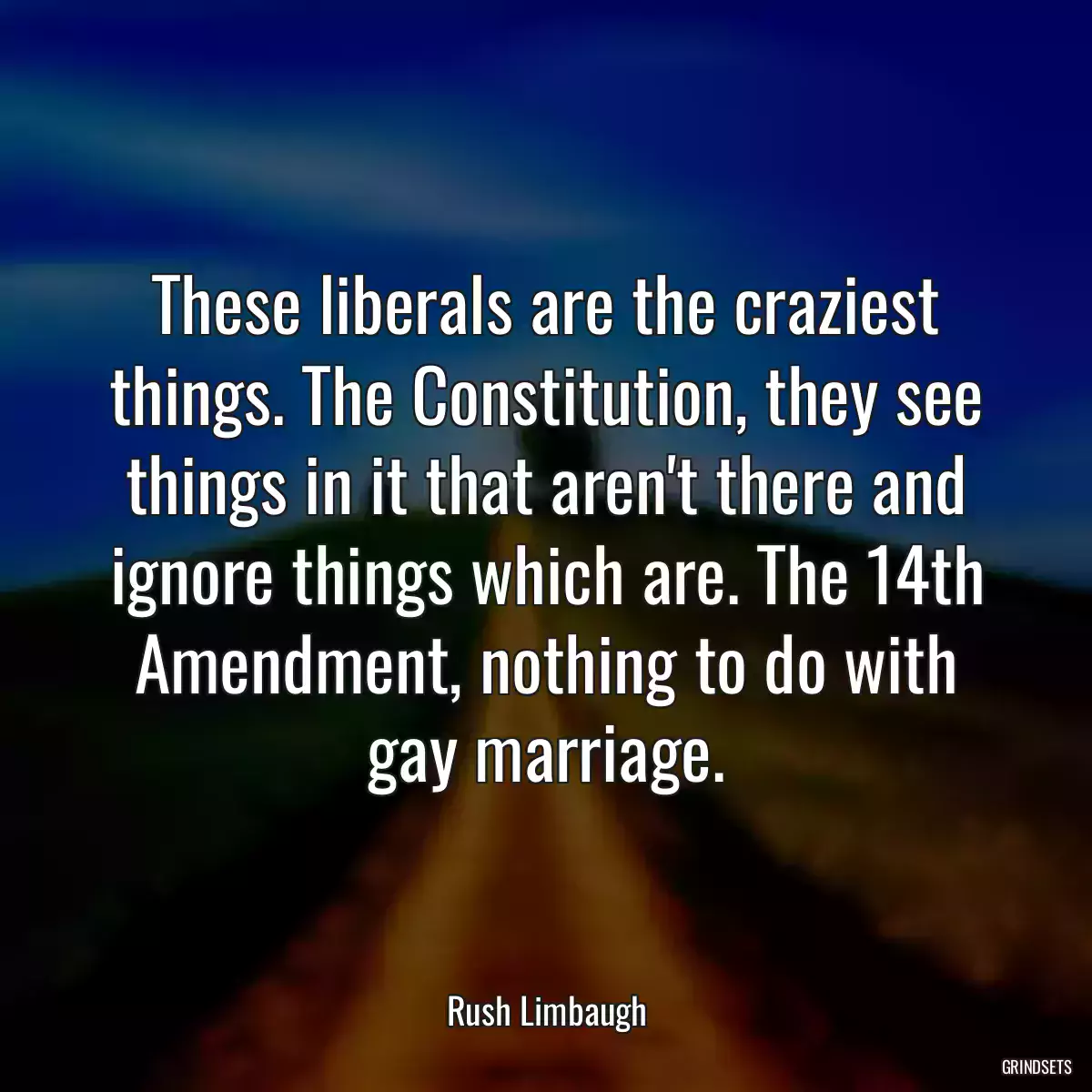 These liberals are the craziest things. The Constitution, they see things in it that aren\'t there and ignore things which are. The 14th Amendment, nothing to do with gay marriage.