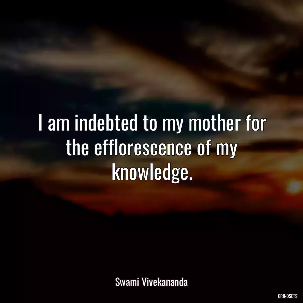 I am indebted to my mother for the efflorescence of my knowledge.