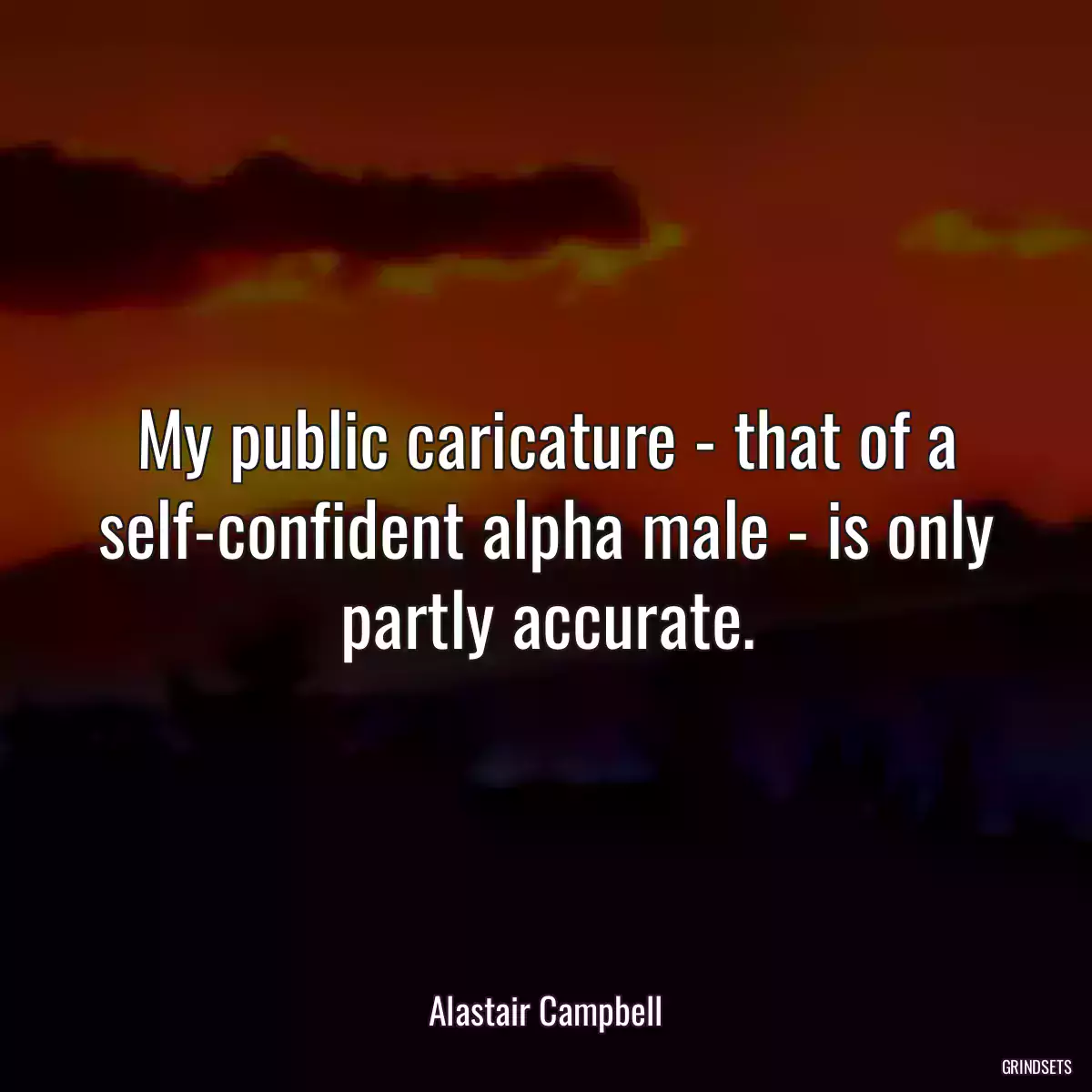 My public caricature - that of a self-confident alpha male - is only partly accurate.