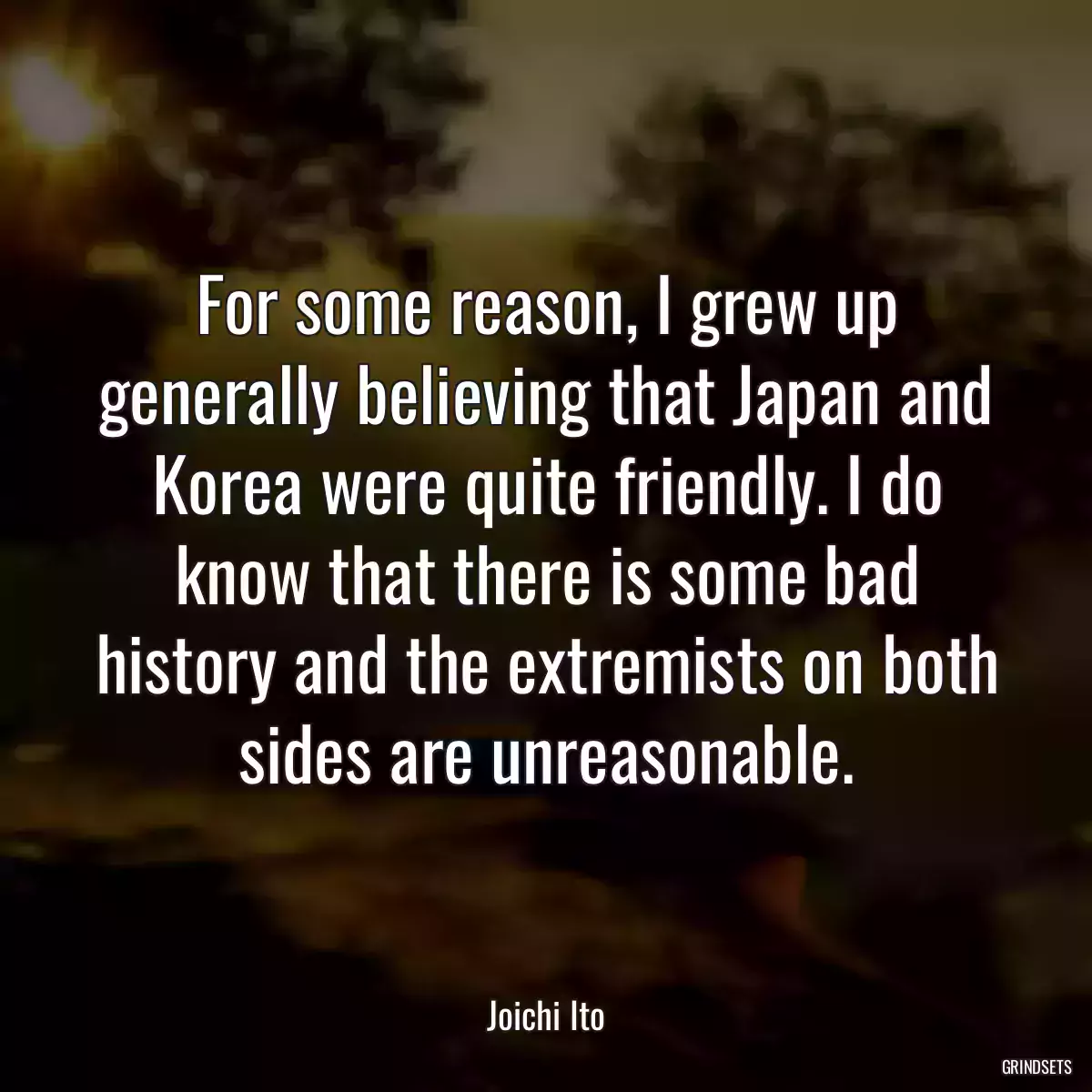 For some reason, I grew up generally believing that Japan and Korea were quite friendly. I do know that there is some bad history and the extremists on both sides are unreasonable.