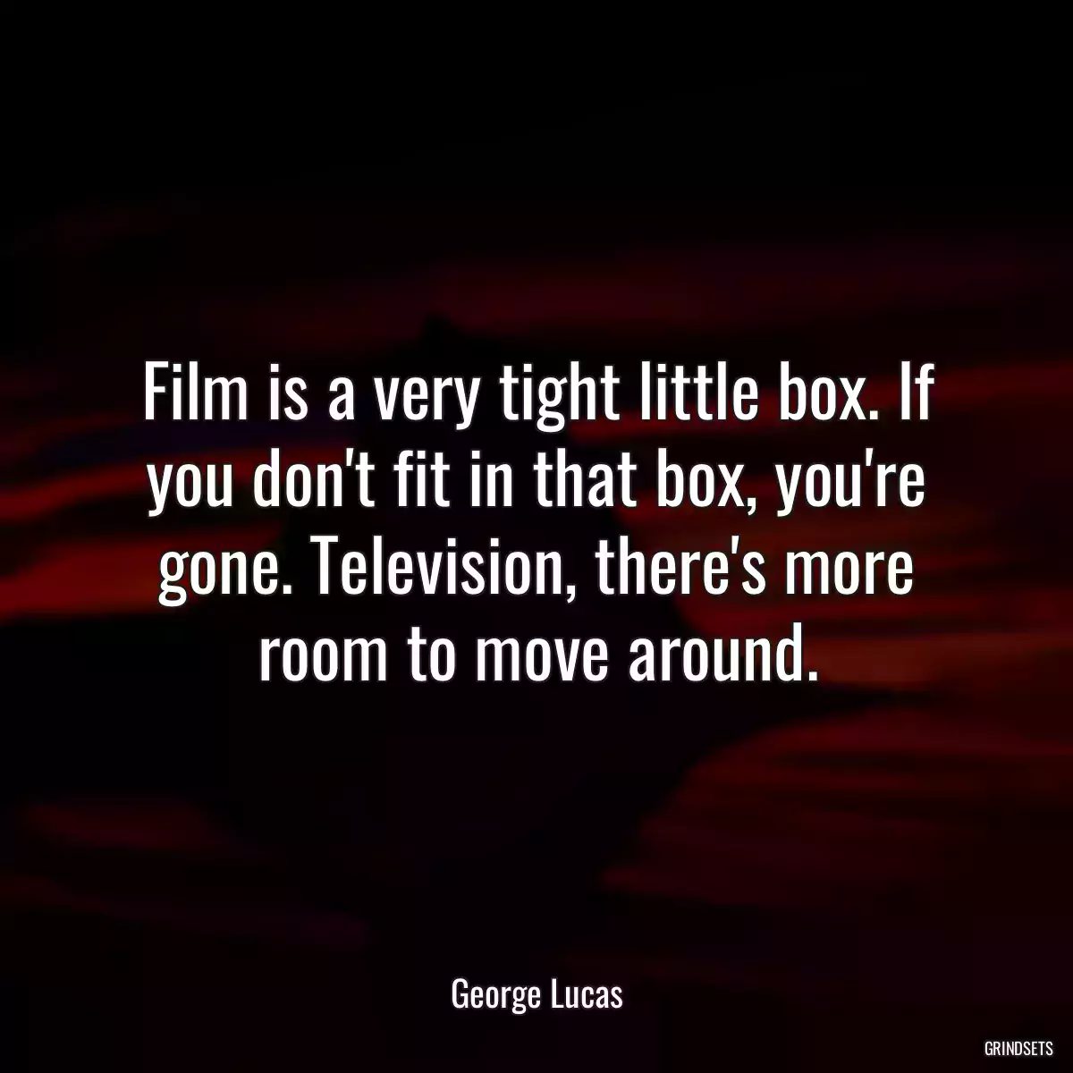 Film is a very tight little box. If you don\'t fit in that box, you\'re gone. Television, there\'s more room to move around.