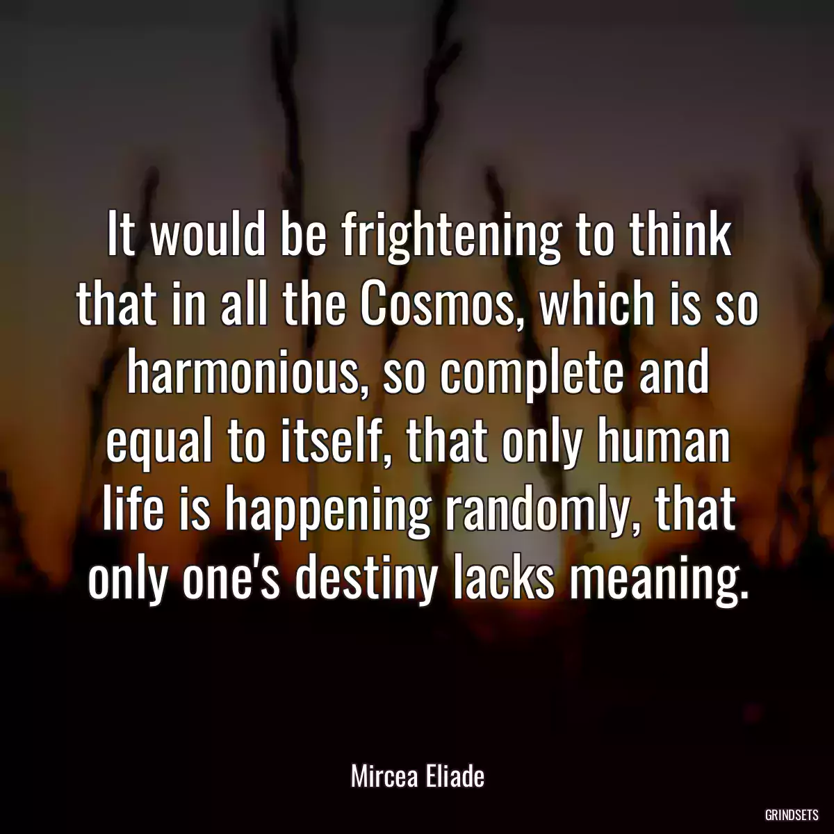 It would be frightening to think that in all the Cosmos, which is so harmonious, so complete and equal to itself, that only human life is happening randomly, that only one\'s destiny lacks meaning.