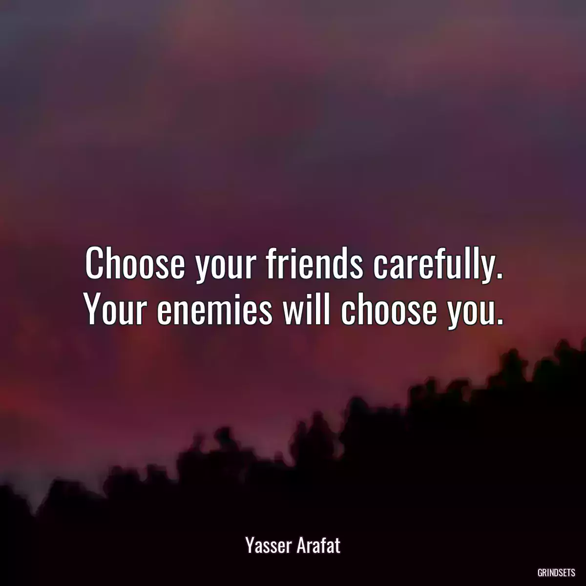 Choose your friends carefully. Your enemies will choose you.