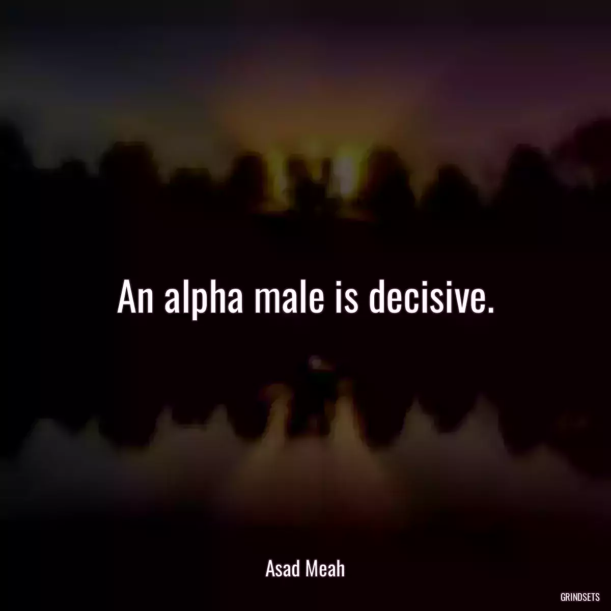 An alpha male is decisive.