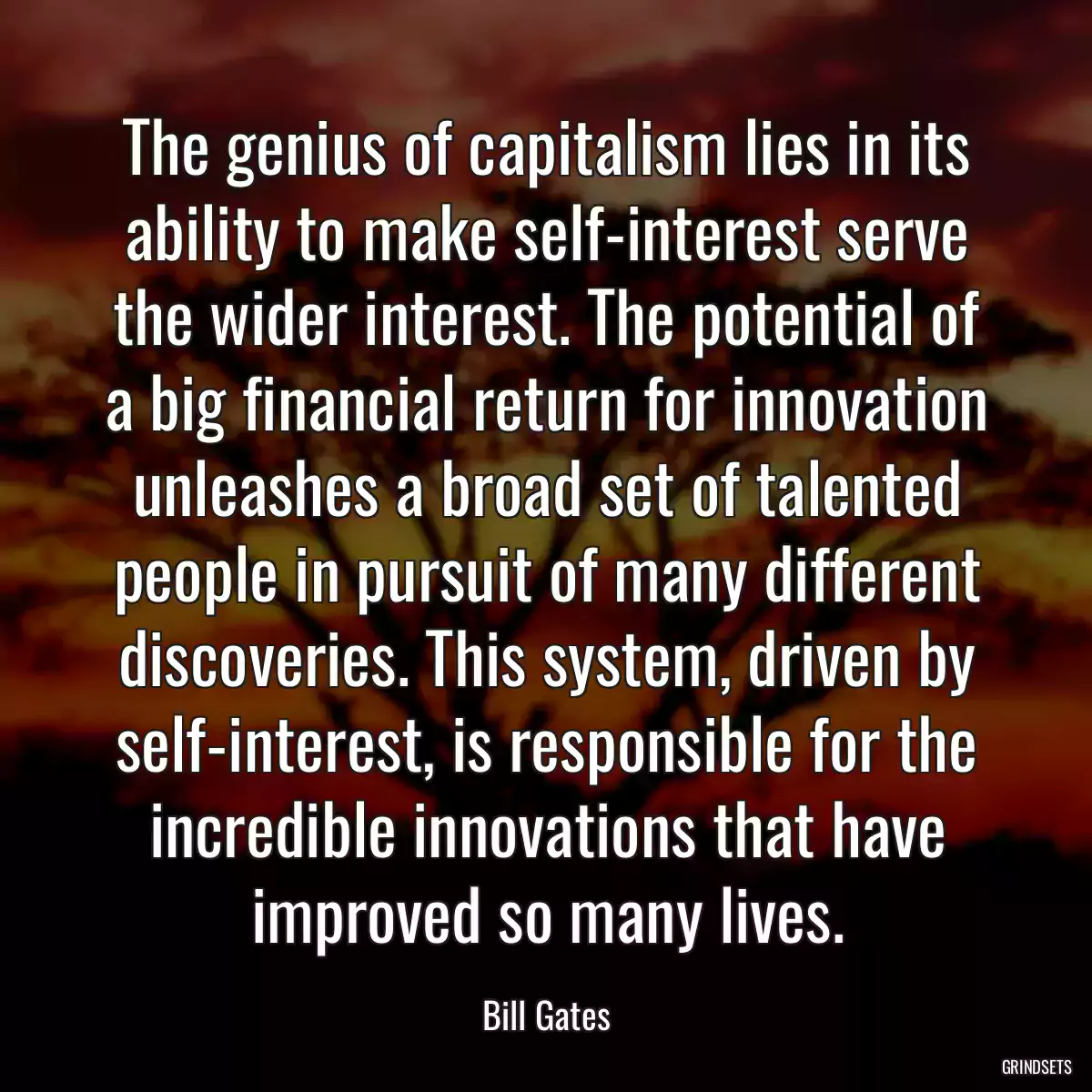 The genius of capitalism lies in its ability to make self-interest serve the wider interest. The potential of a big financial return for innovation unleashes a broad set of talented people in pursuit of many different discoveries. This system, driven by self-interest, is responsible for the incredible innovations that have improved so many lives.