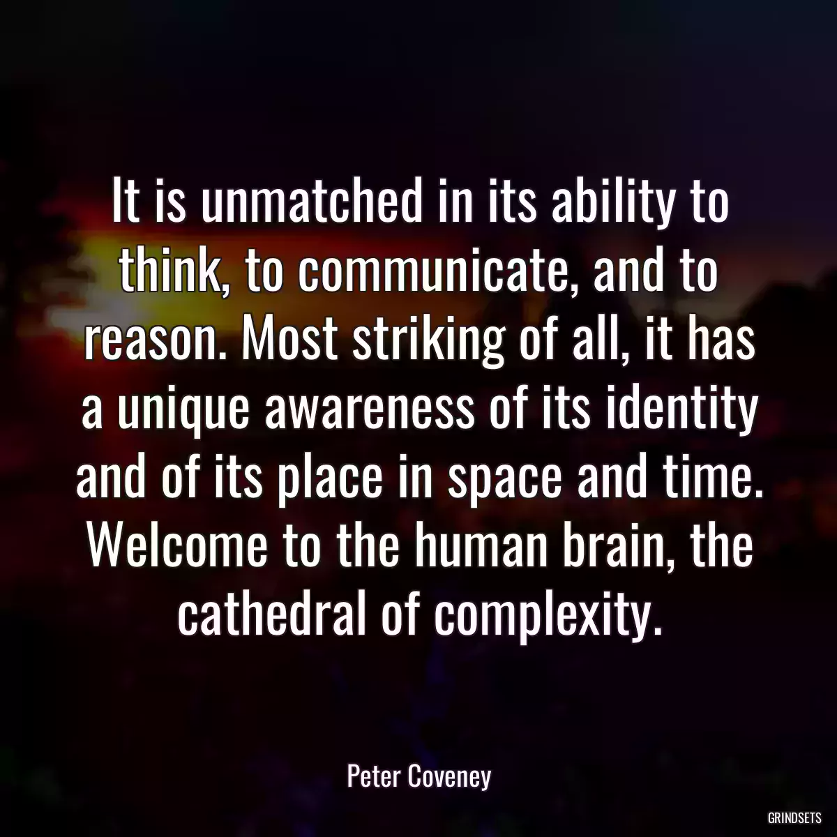 It is unmatched in its ability to think, to communicate, and to reason. Most striking of all, it has a unique awareness of its identity and of its place in space and time. Welcome to the human brain, the cathedral of complexity.