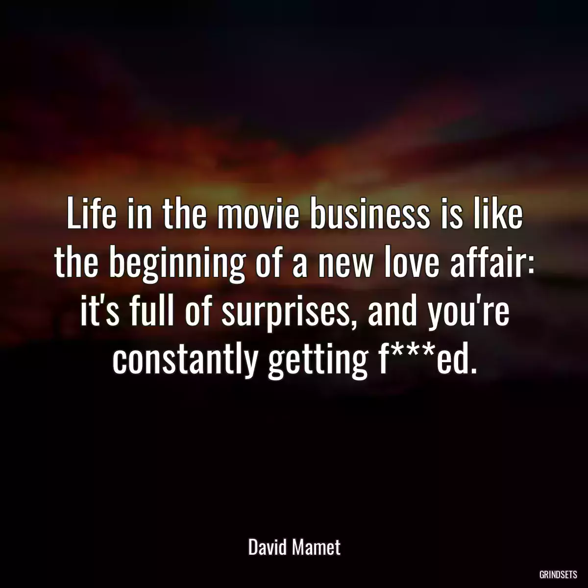 Life in the movie business is like the beginning of a new love affair: it\'s full of surprises, and you\'re constantly getting f***ed.