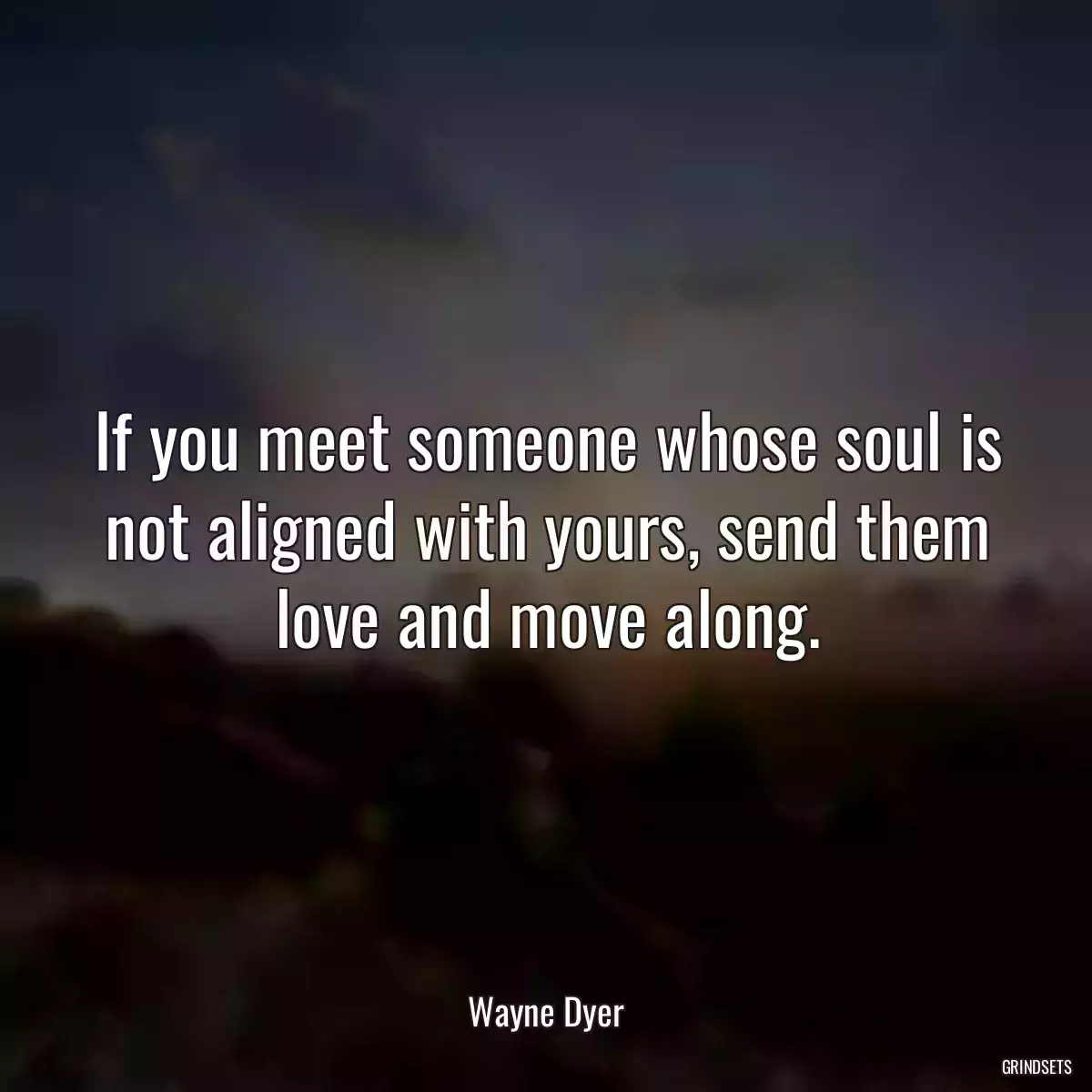 If you meet someone whose soul is not aligned with yours, send them love and move along.