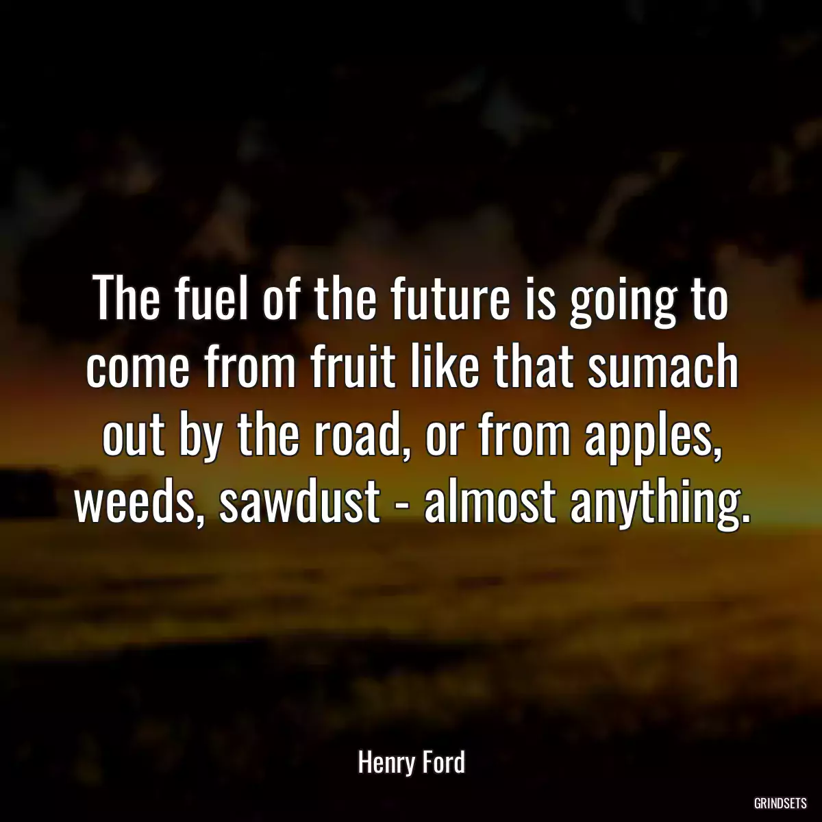 The fuel of the future is going to come from fruit like that sumach out by the road, or from apples, weeds, sawdust - almost anything.