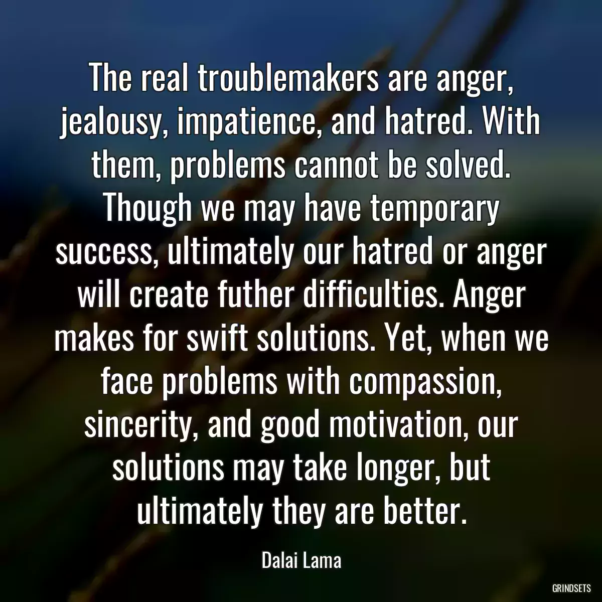 The real troublemakers are anger, jealousy, impatience, and hatred. With them, problems cannot be solved. Though we may have temporary success, ultimately our hatred or anger will create futher difficulties. Anger makes for swift solutions. Yet, when we face problems with compassion, sincerity, and good motivation, our solutions may take longer, but ultimately they are better.