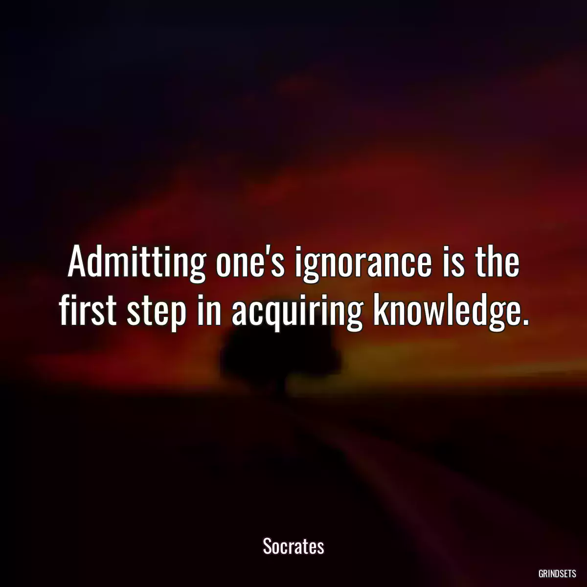 Admitting one\'s ignorance is the first step in acquiring knowledge.