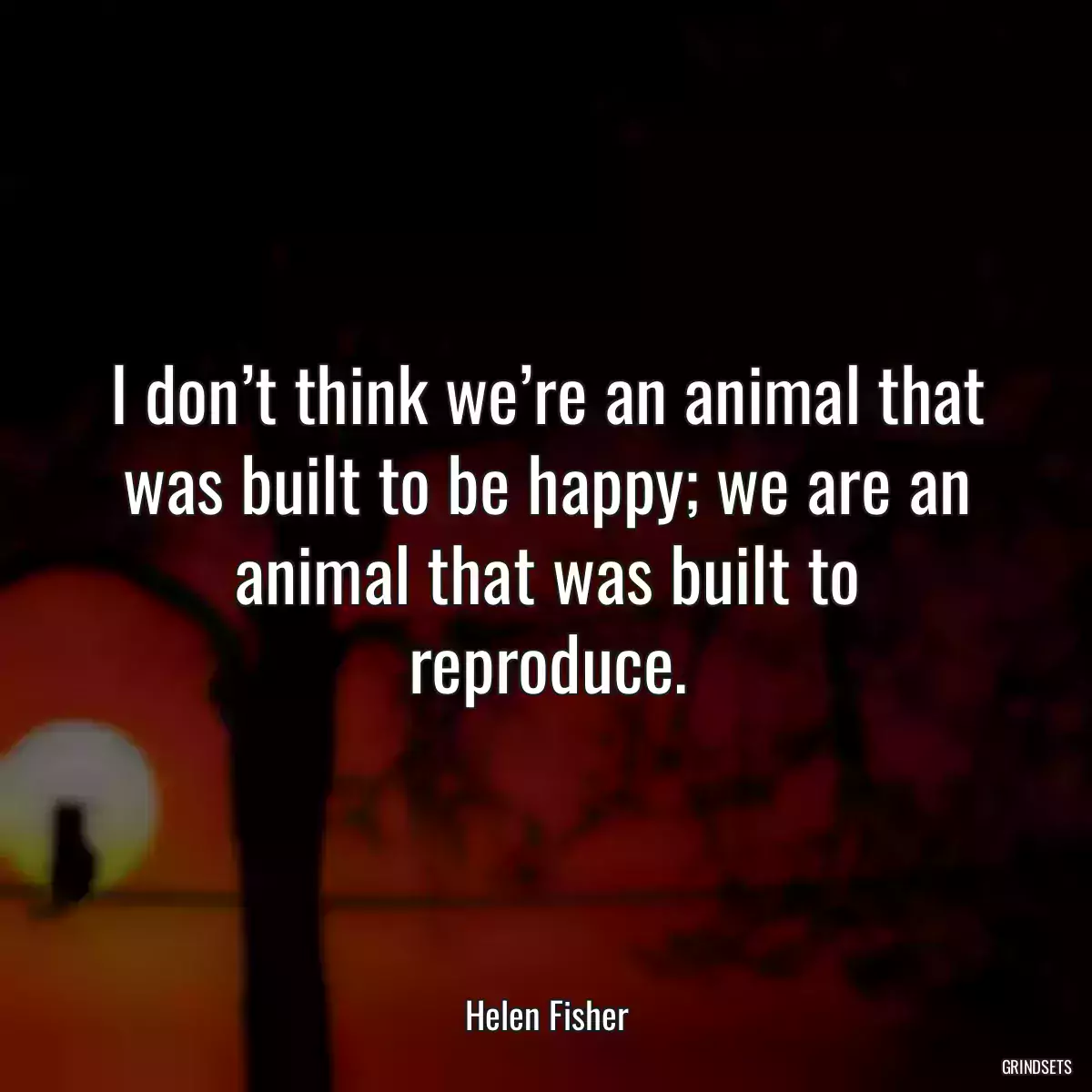 I don’t think we’re an animal that was built to be happy; we are an animal that was built to reproduce.